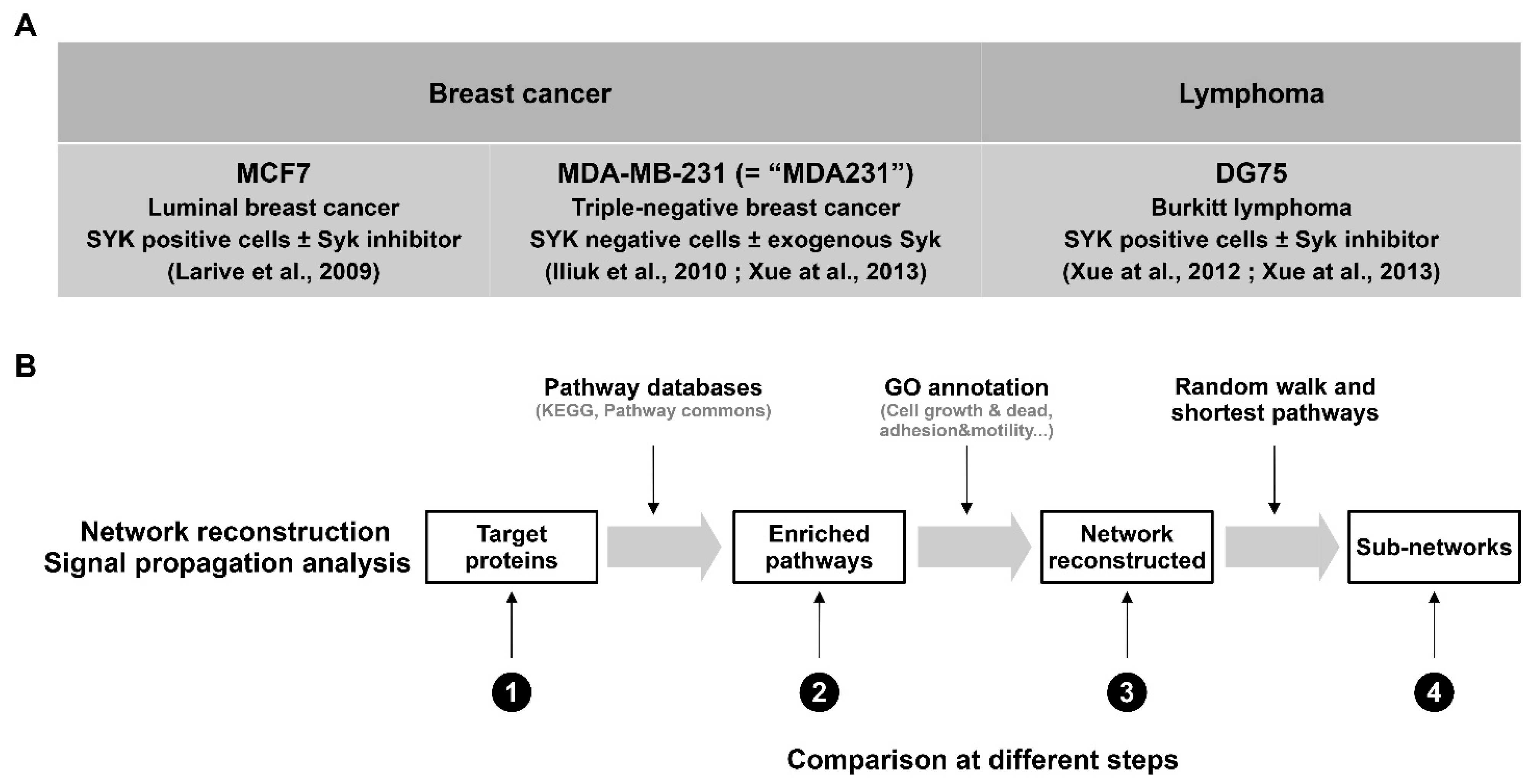 Biomolecules 11 00308 g001 Biomolecules 11 00308 g001
