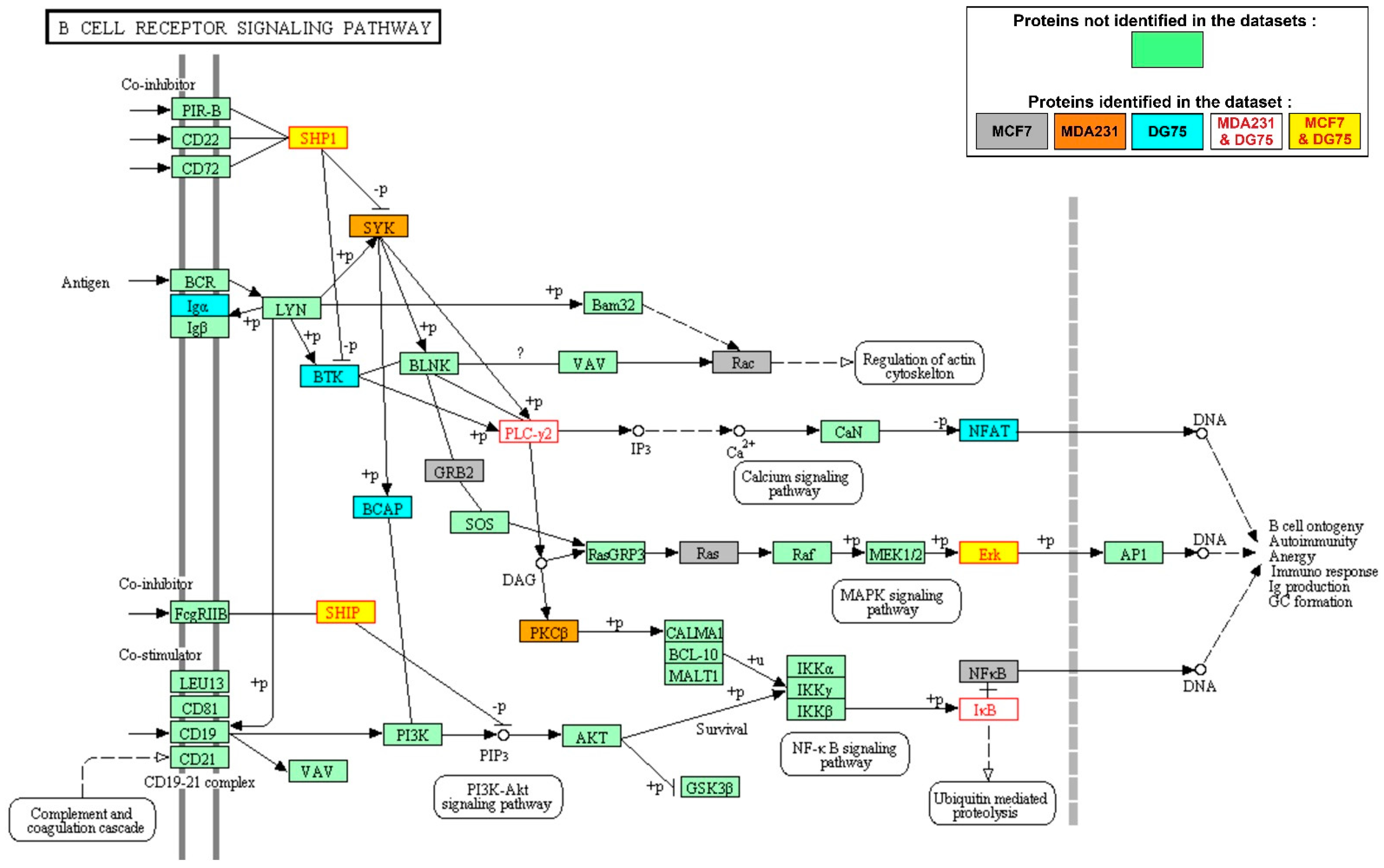 Biomolecules 11 00308 g002 Biomolecules 11 00308 g002