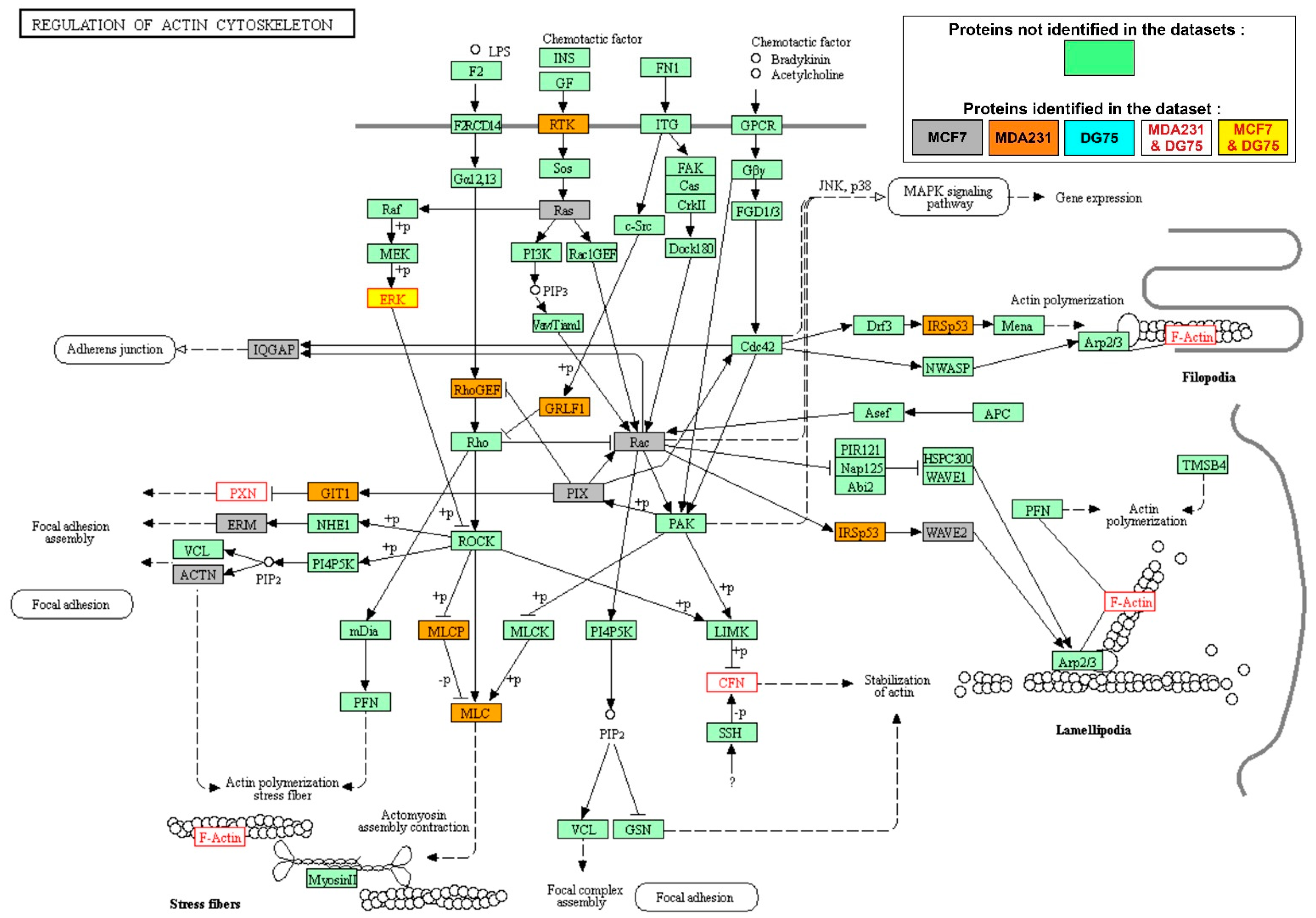Biomolecules 11 00308 g003 Biomolecules 11 00308 g003