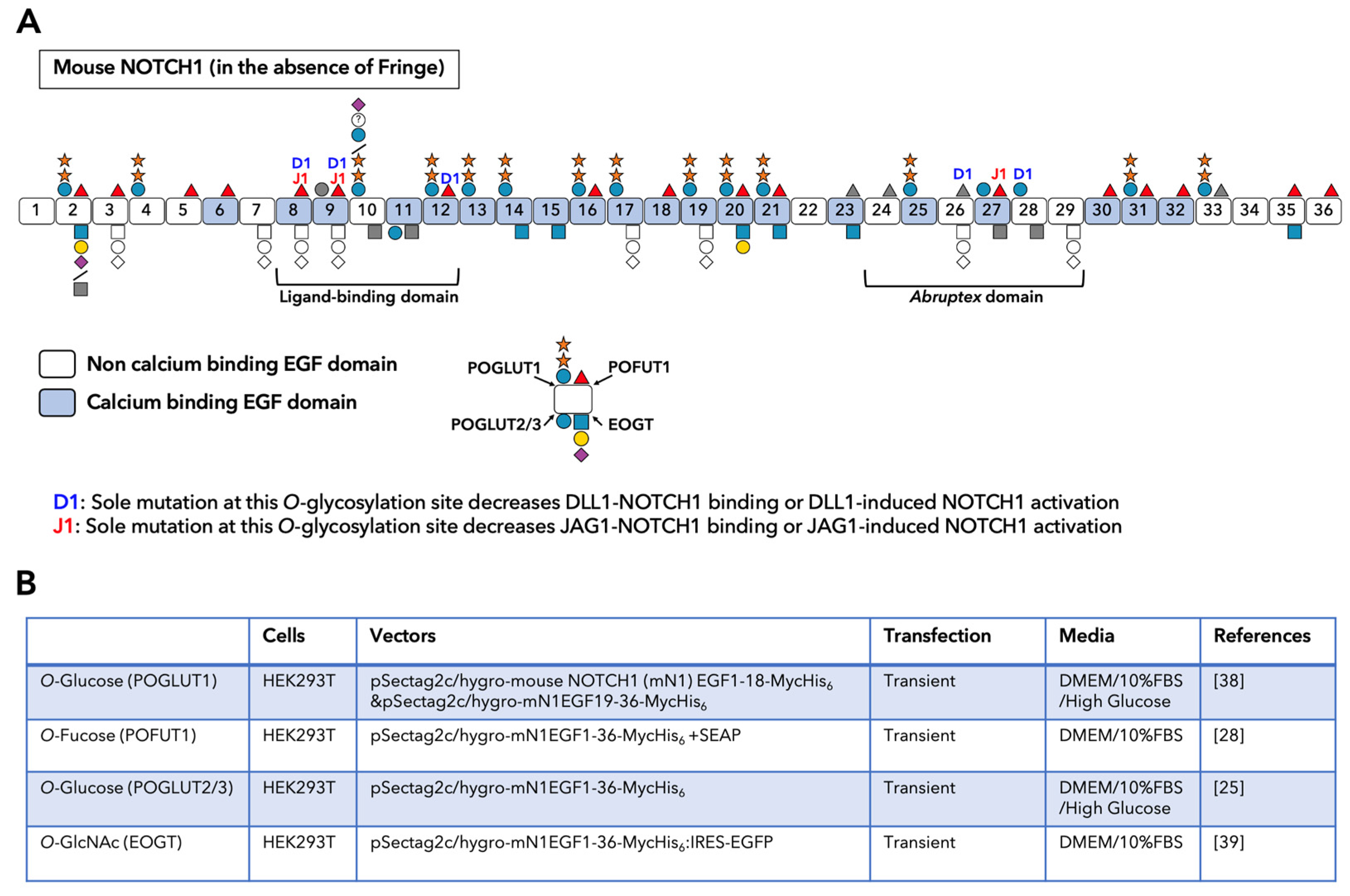 Biomolecules 11 00309 g002 Biomolecules 11 00309 g002