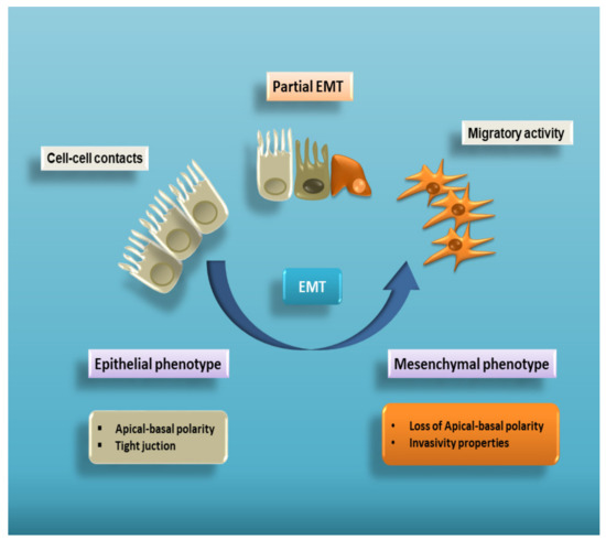 Biomolecules 11 00310 g001 550