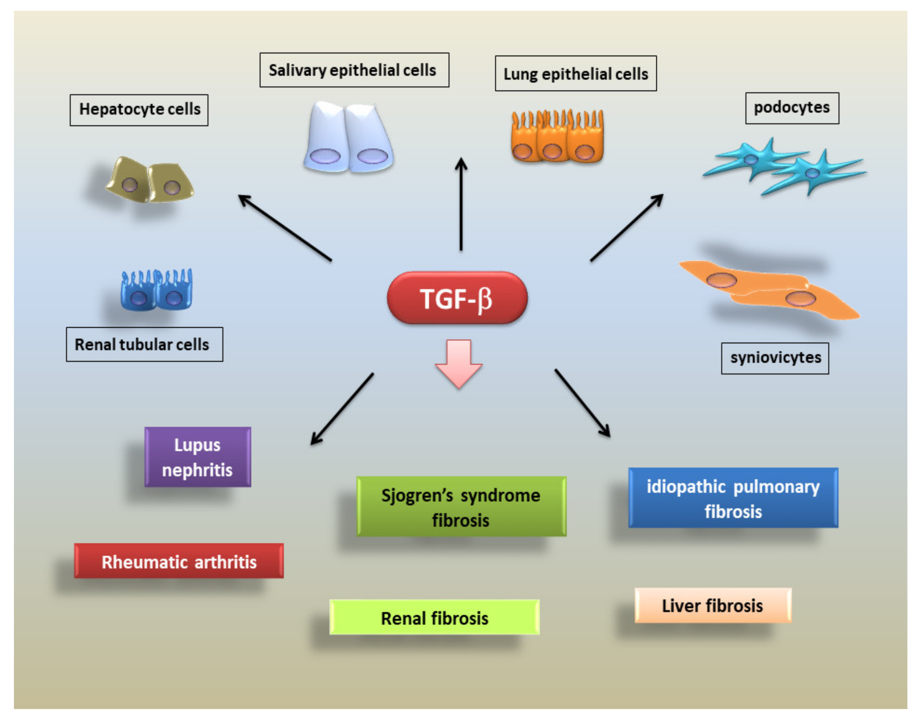 Biomolecules 11 00310 g003 Biomolecules 11 00310 g003