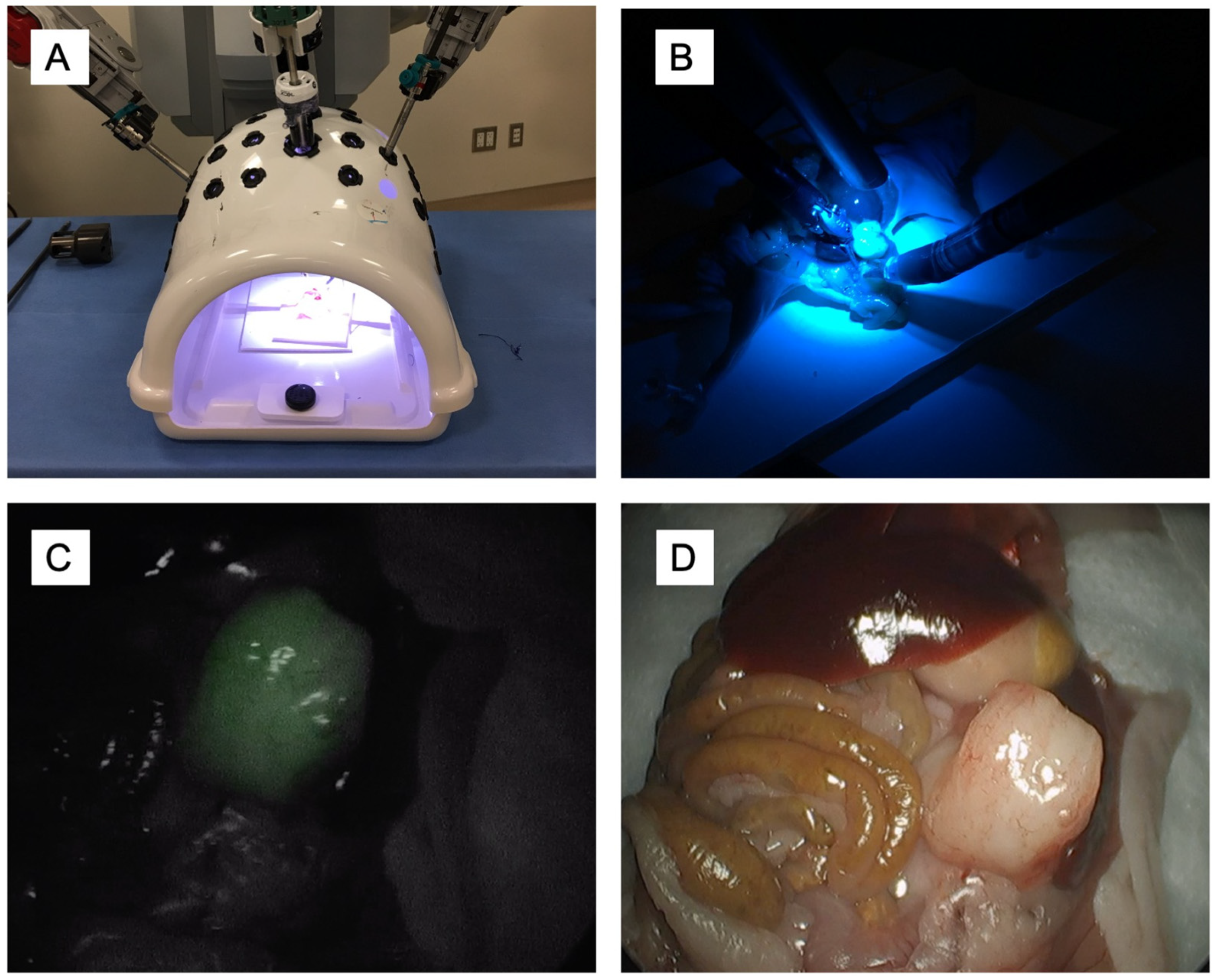 Biomolecules 11 00311 g001 Biomolecules 11 00311 g001