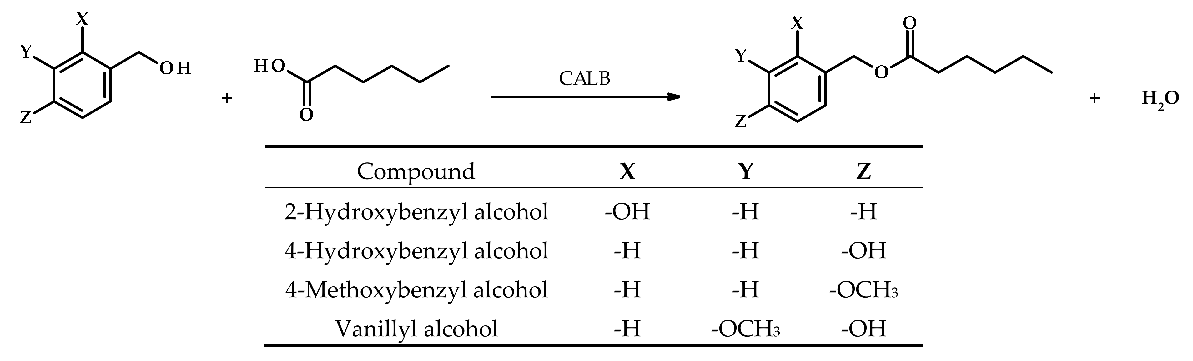 Biomolecules 11 00314 g001