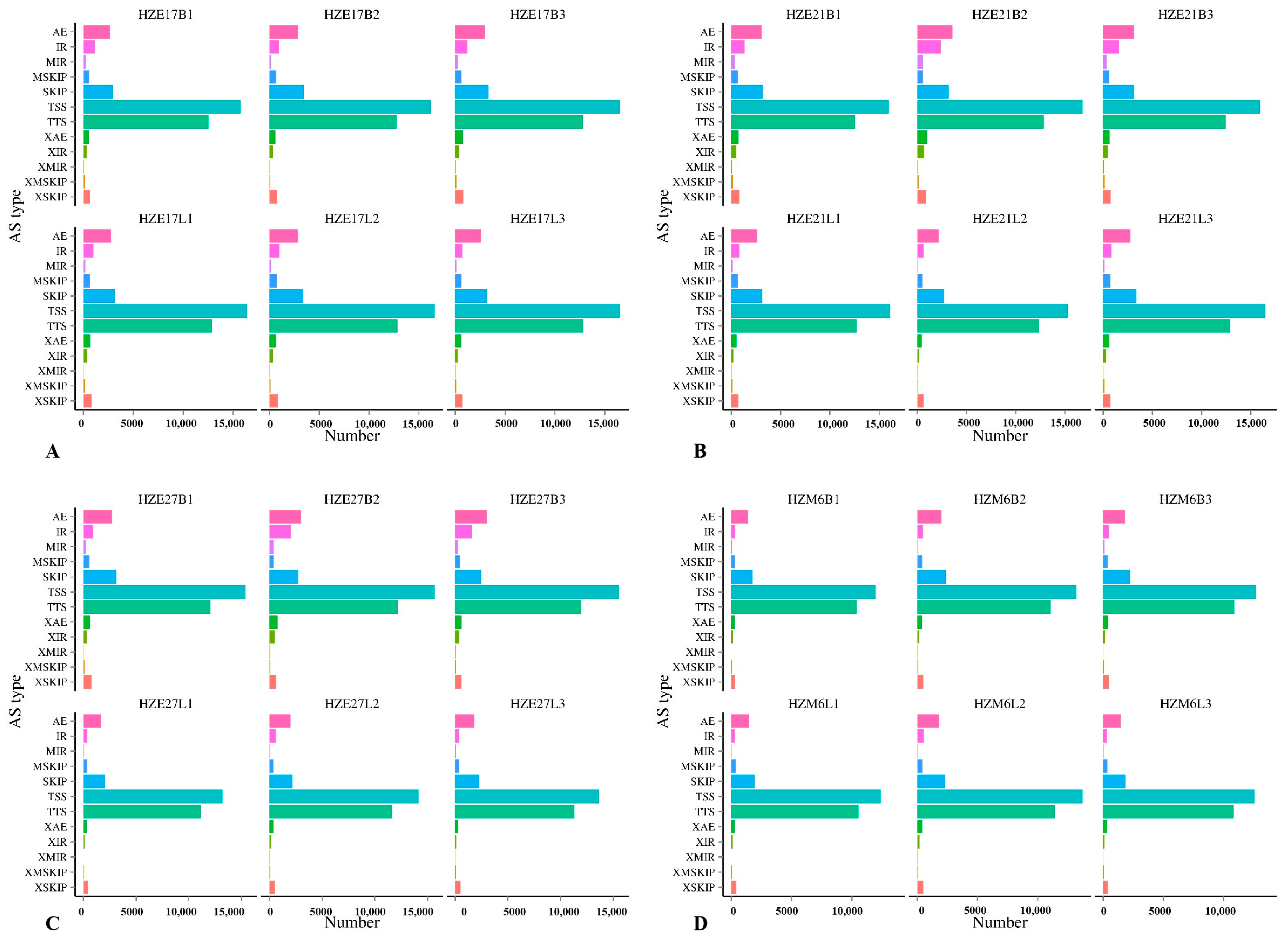 Biomolecules 11 00315 g002 Biomolecules 11 00315 g002
