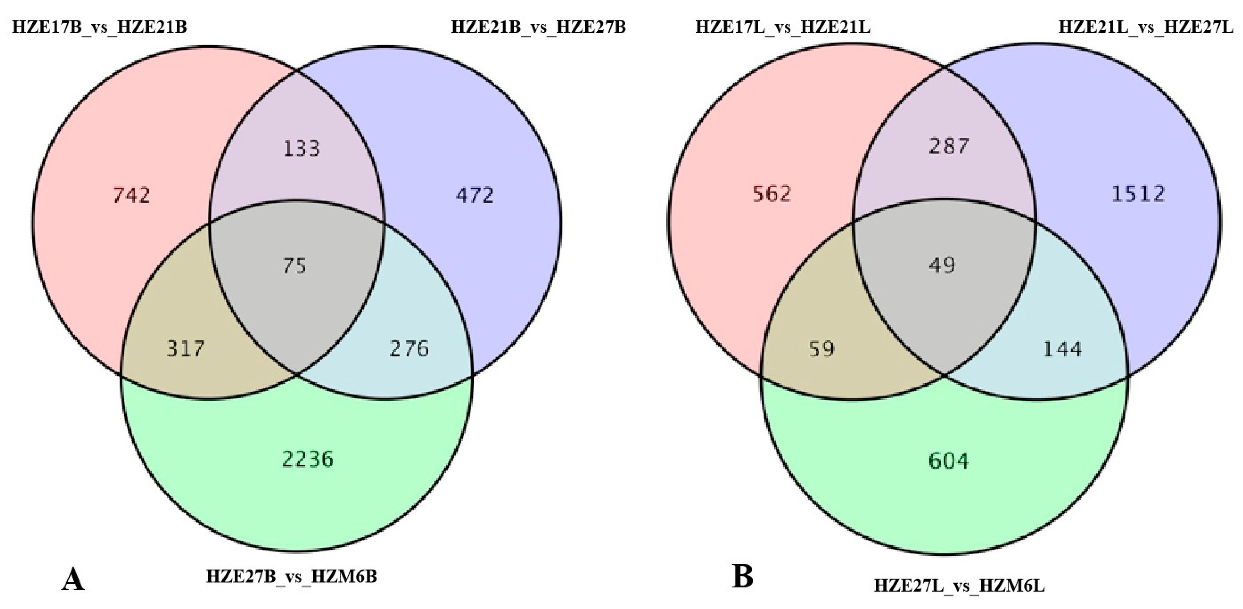Biomolecules 11 00315 g004 Biomolecules 11 00315 g004