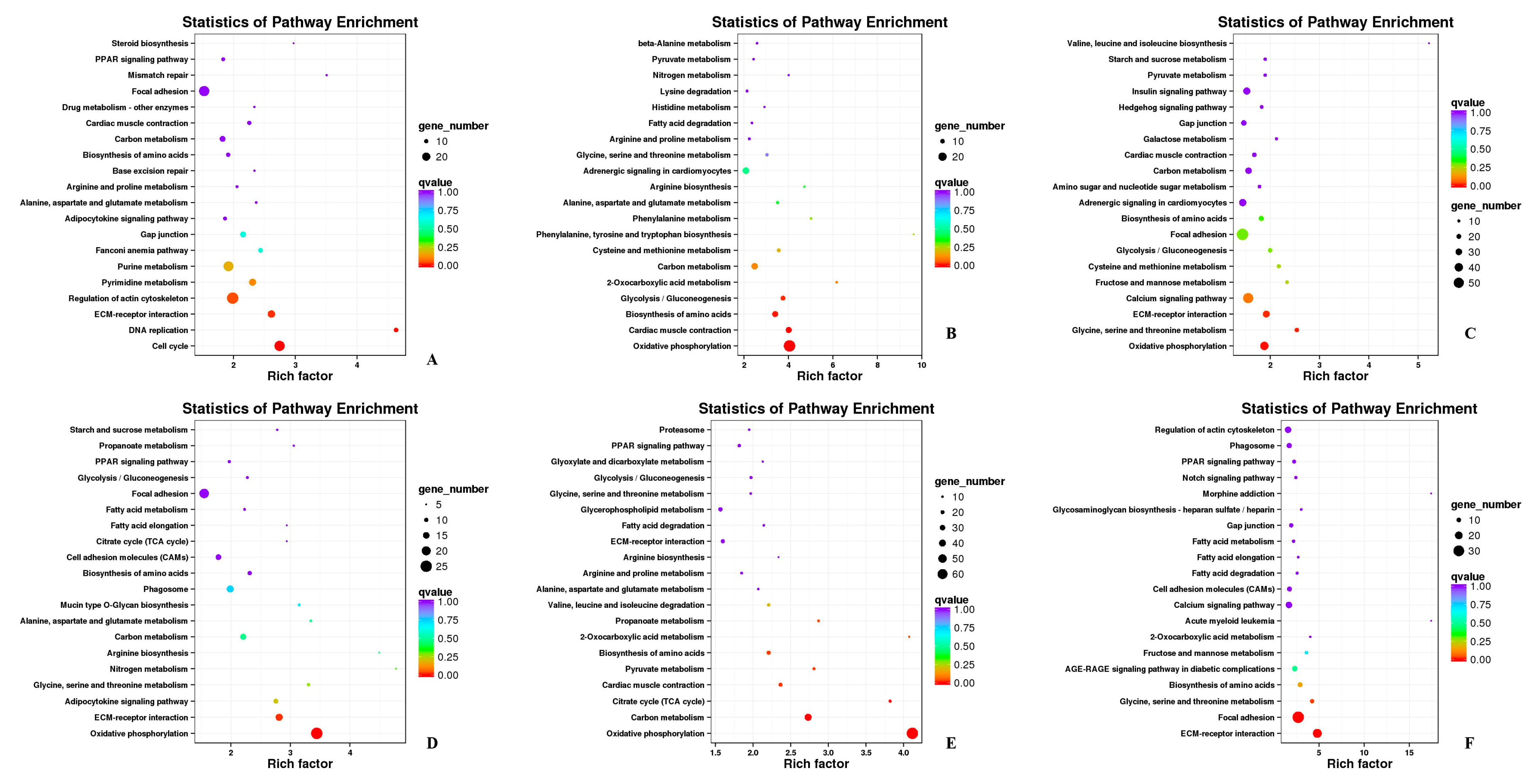 Biomolecules 11 00315 g006 Biomolecules 11 00315 g006