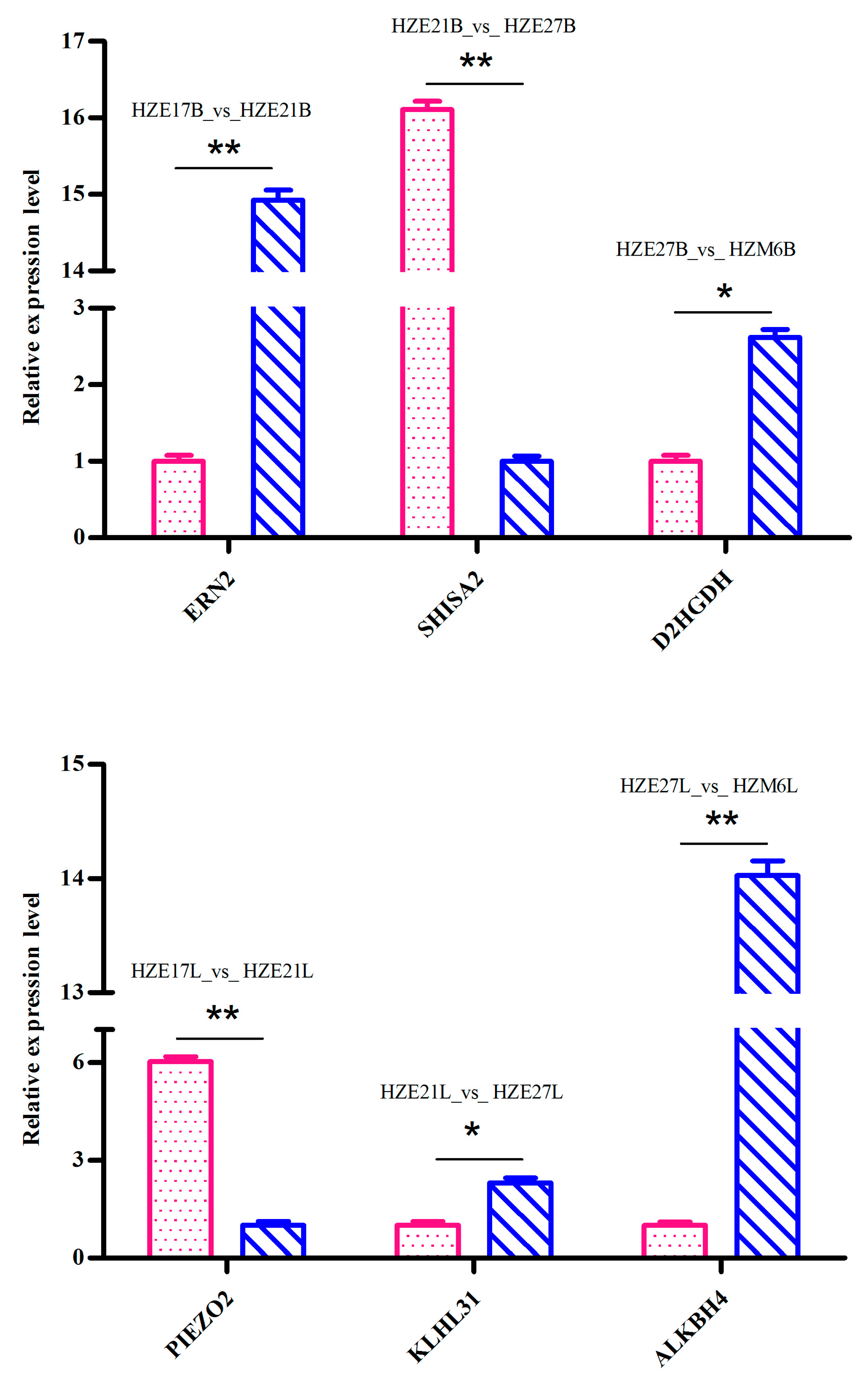 Biomolecules 11 00315 g007 Biomolecules 11 00315 g007