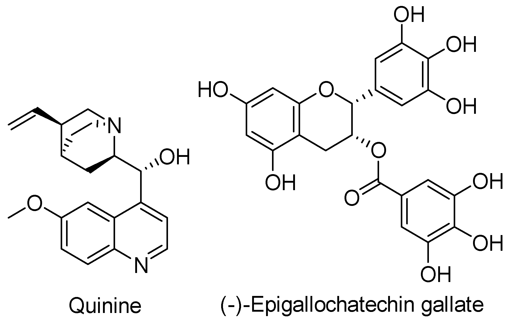 Biomolecules 11 00316 g021 Biomolecules 11 00316 g021