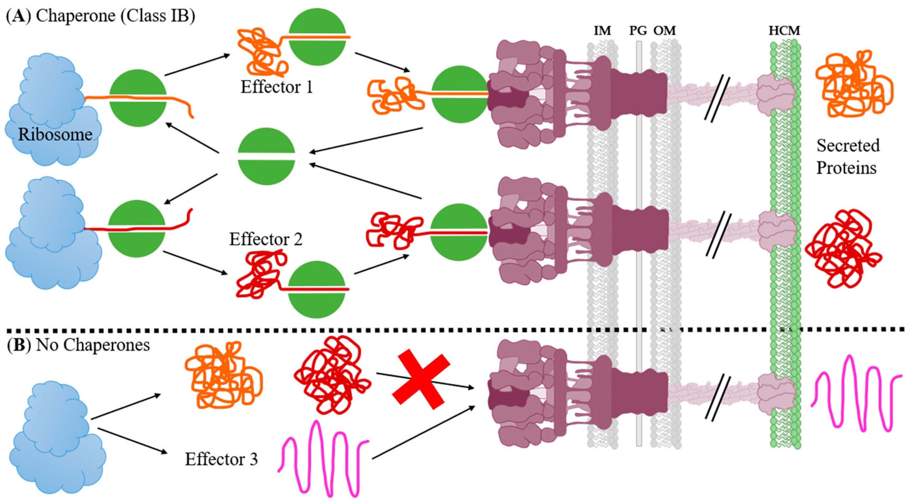 Biomolecules 11 00316 g022 Biomolecules 11 00316 g022