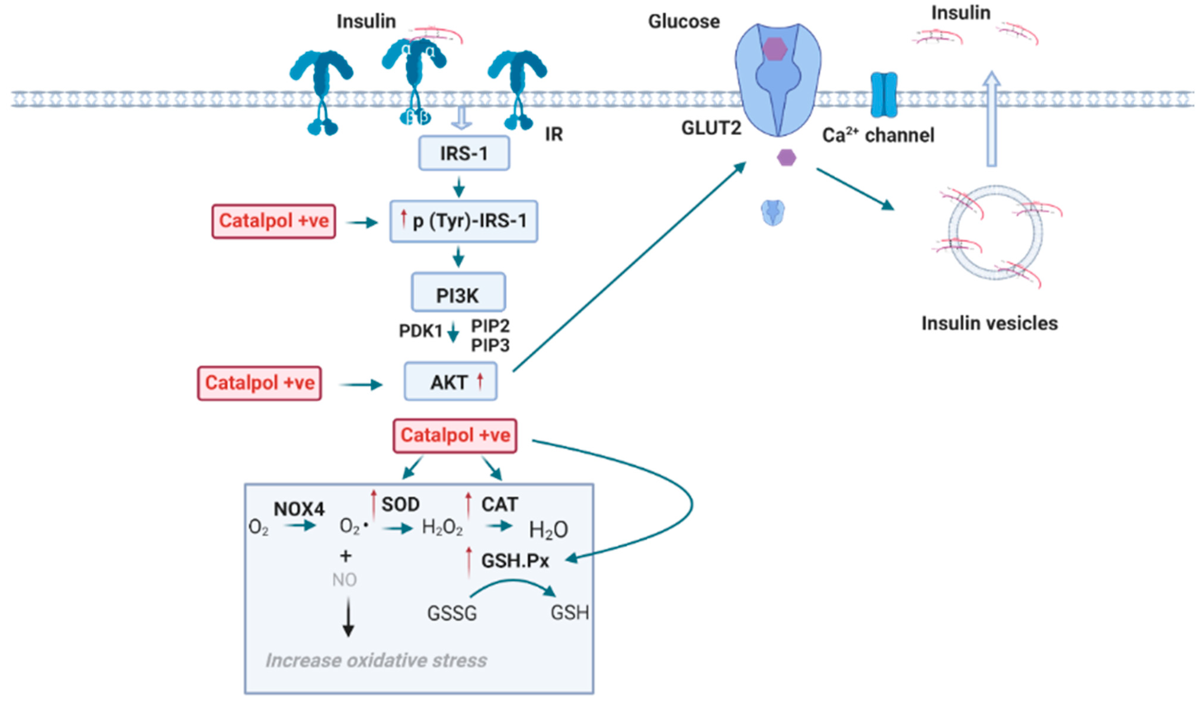 Biomolecules 11 00323 g005 Biomolecules 11 00323 g005