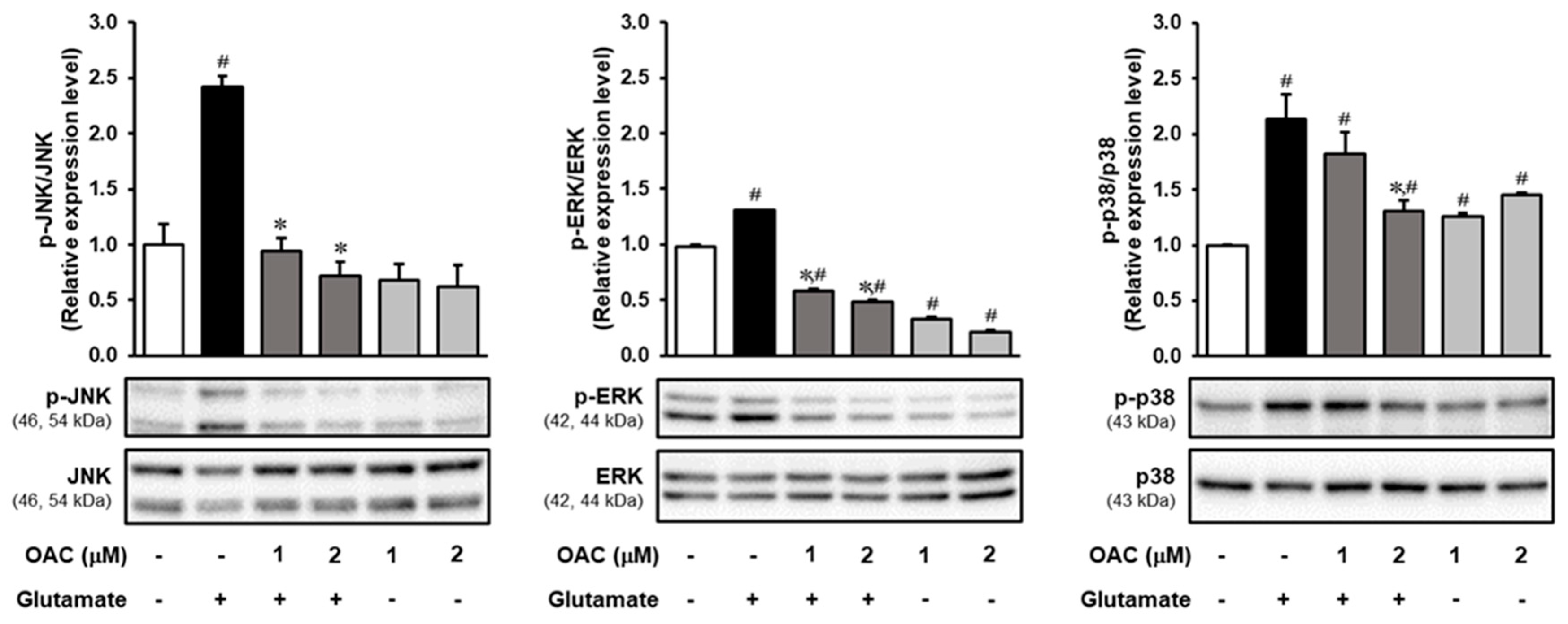 Biomolecules 11 00328 g004 Biomolecules 11 00328 g004