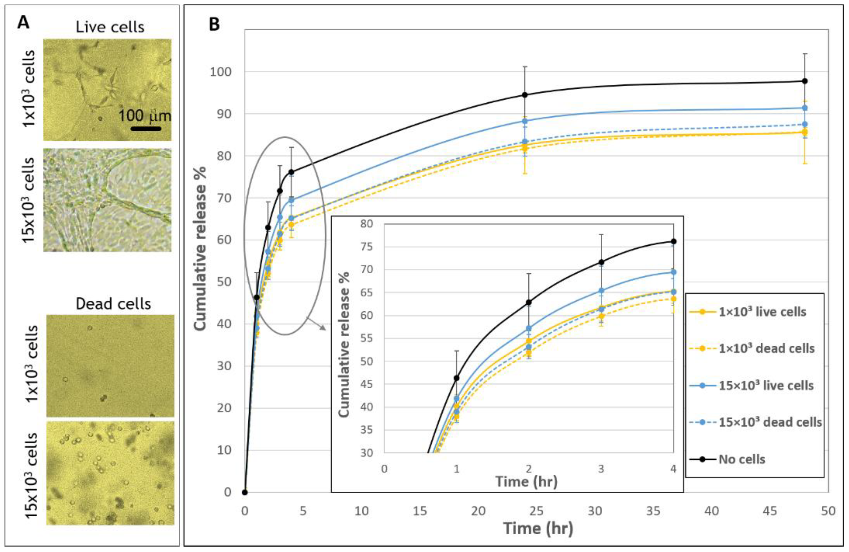Biomolecules 11 00337 g004