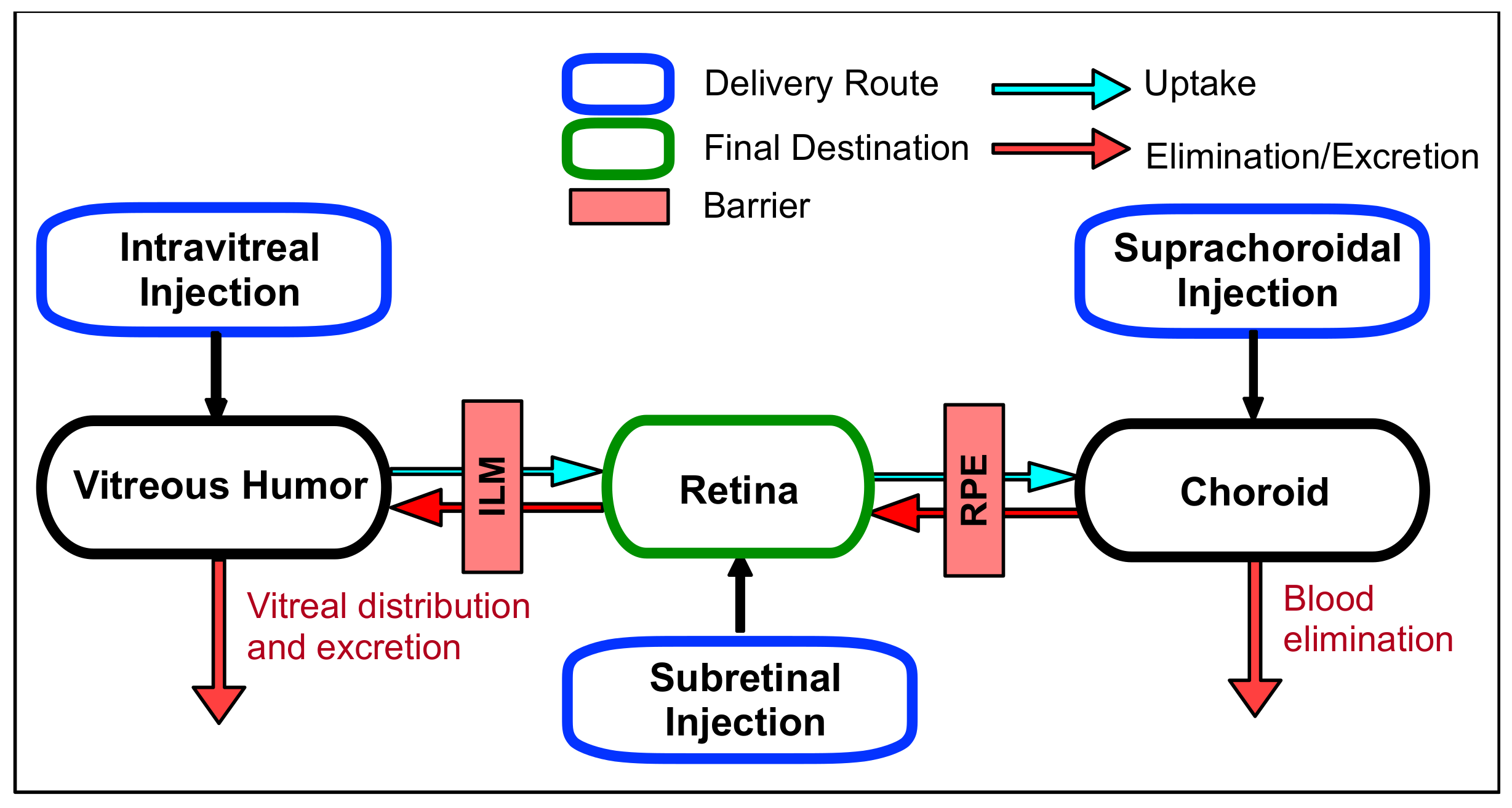 Biomolecules 11 00339 g003 Biomolecules 11 00339 g003