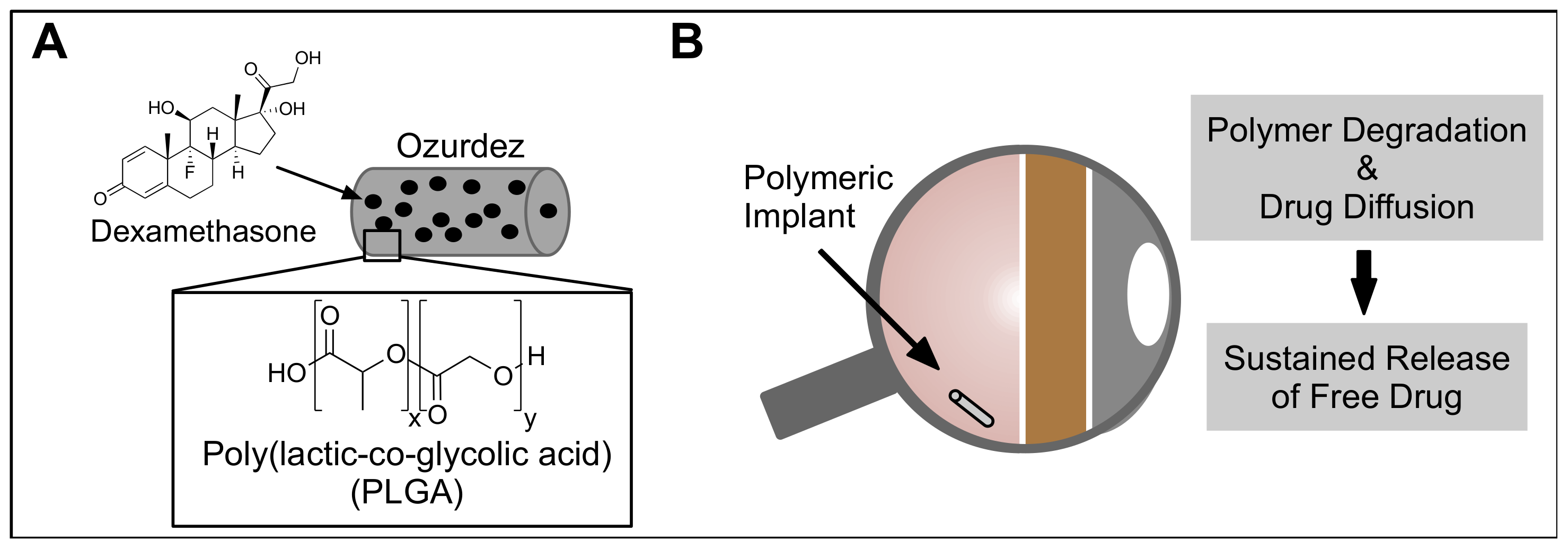 Biomolecules 11 00339 g009 Biomolecules 11 00339 g009