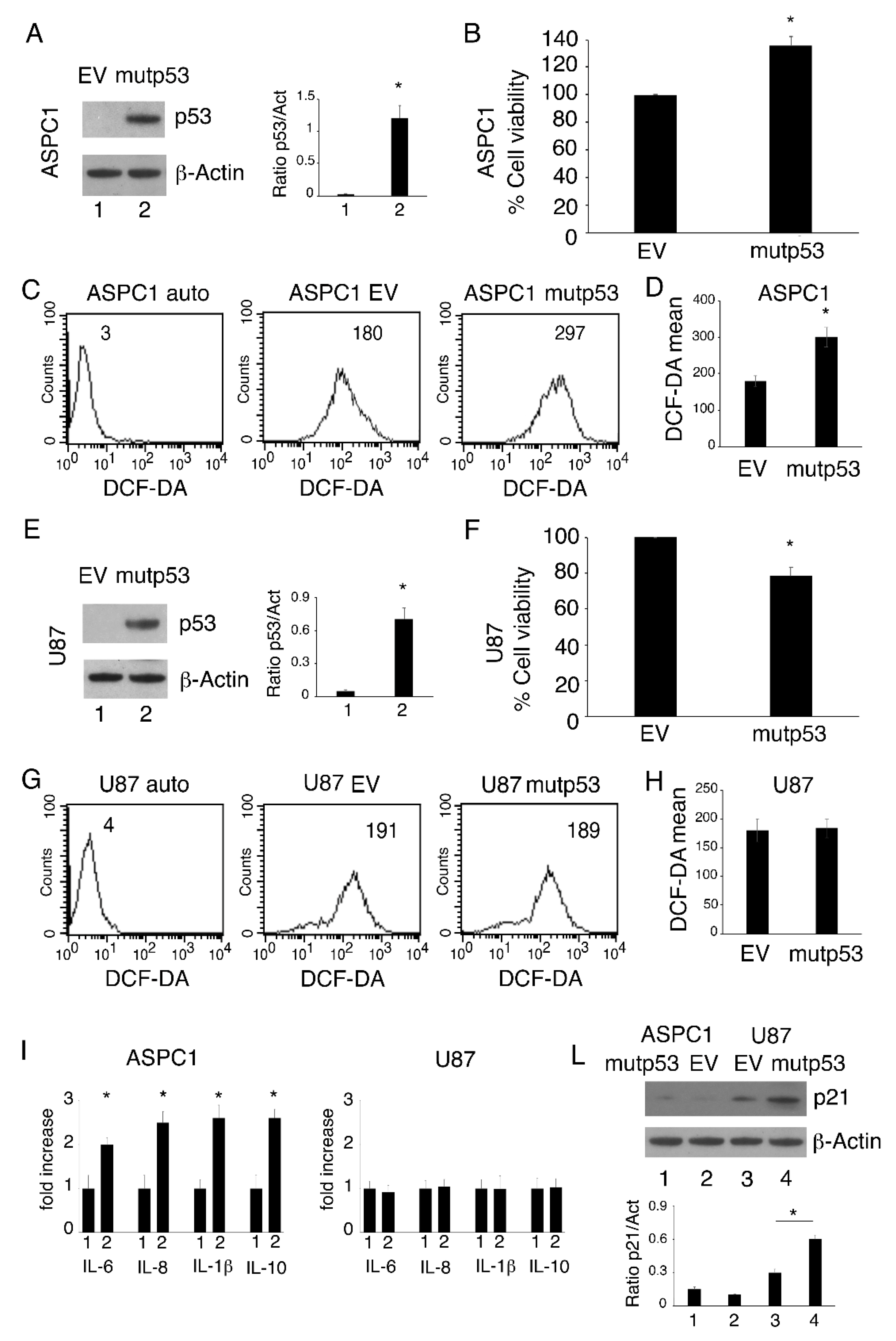 Biomolecules 11 00344 g002 Biomolecules 11 00344 g002