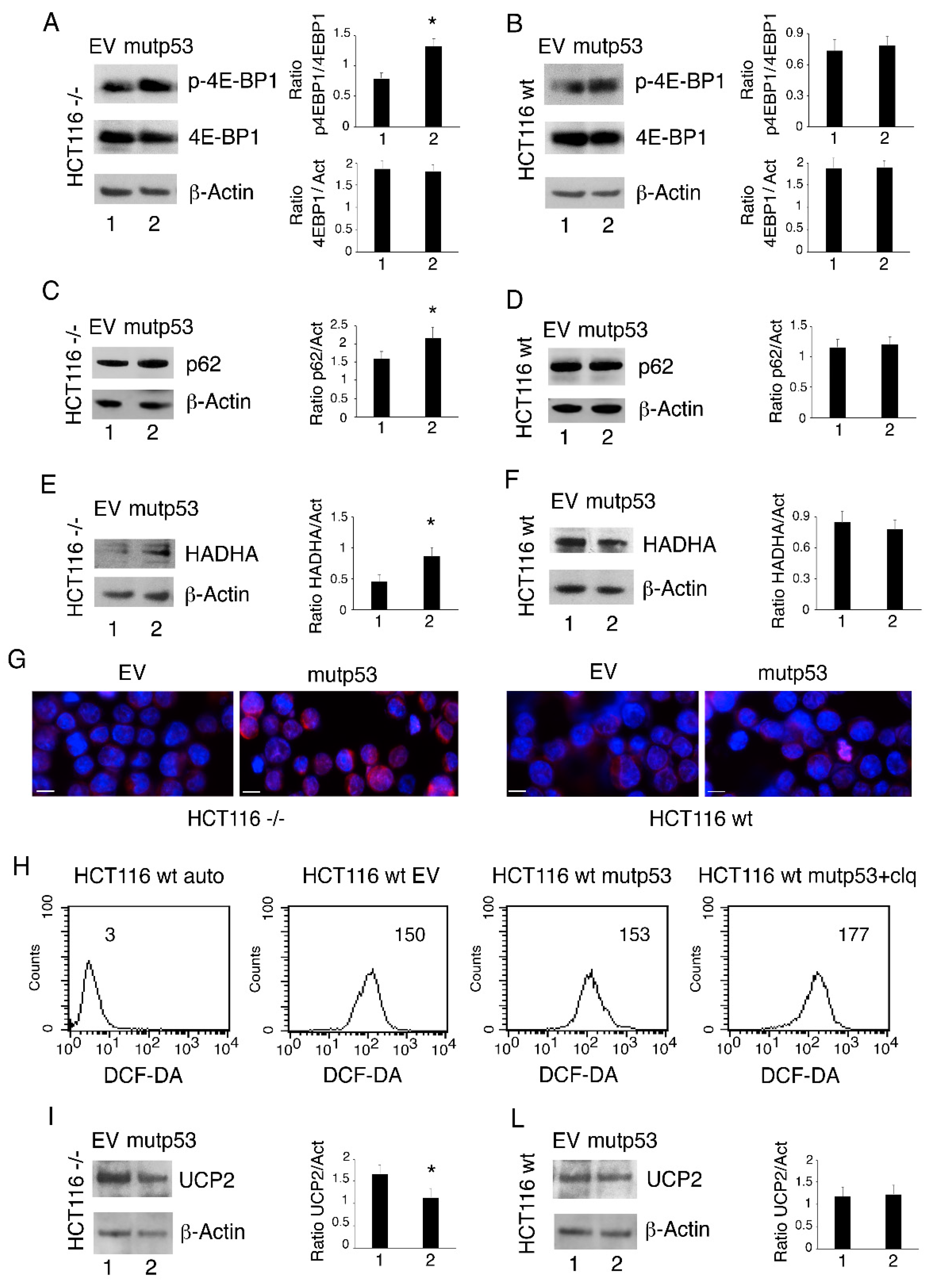 Biomolecules 11 00344 g005 Biomolecules 11 00344 g005