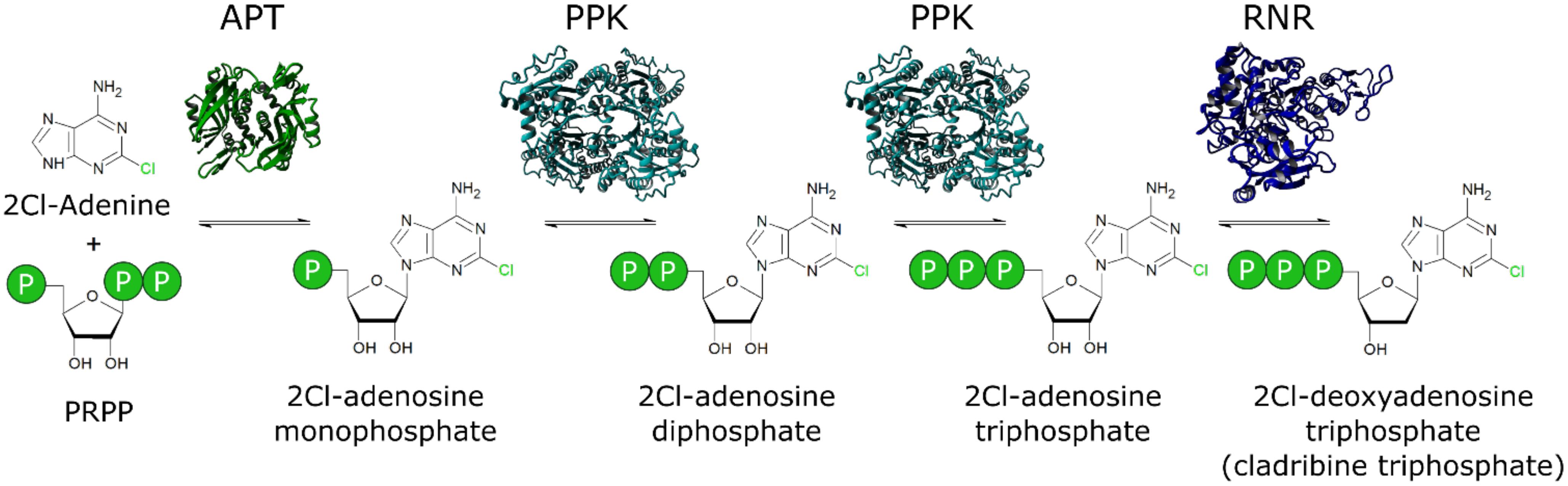 Biomolecules 11 00346 g001 Biomolecules 11 00346 g001