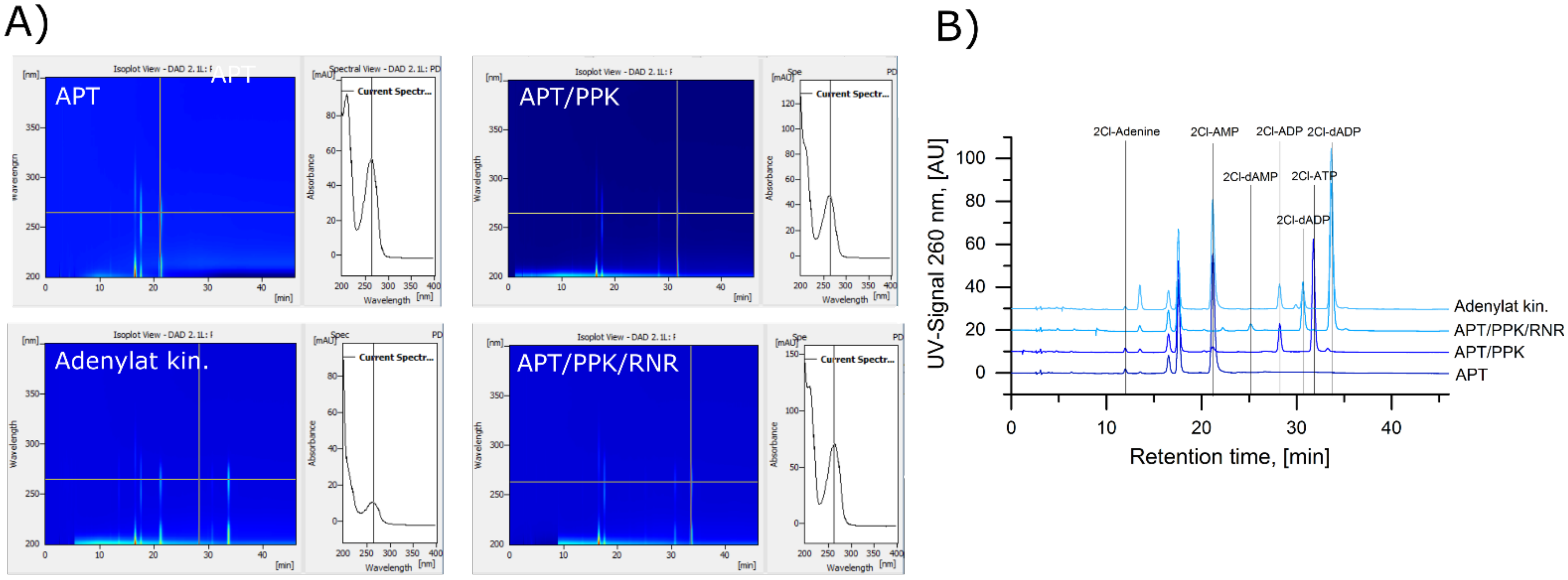 Biomolecules 11 00346 g0a2 Biomolecules 11 00346 g0a2