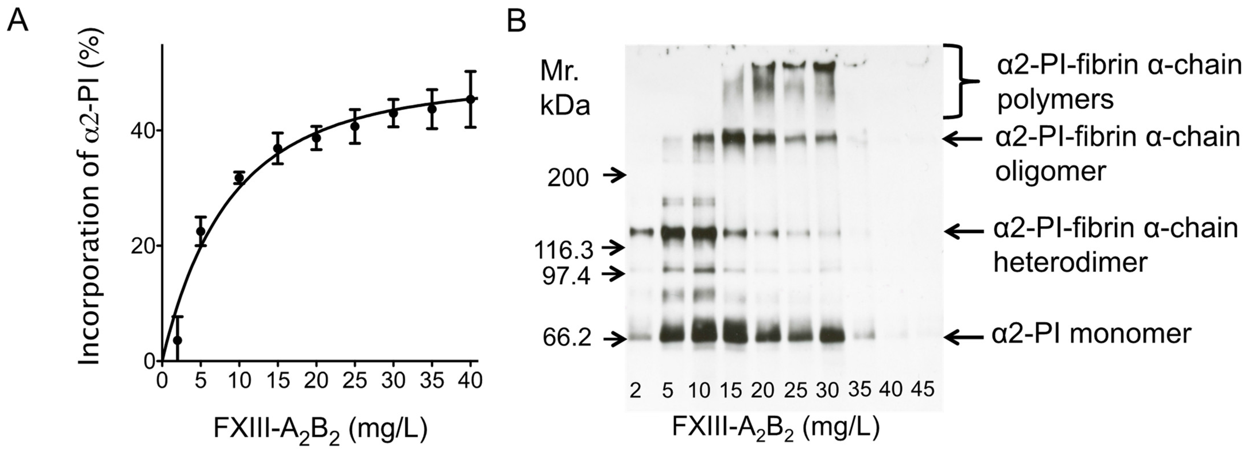 Biomolecules 11 00347 g002 Biomolecules 11 00347 g002