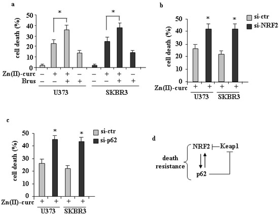 p62/SQSTM1/Keap1/NRF2 Axis Reduces Cancer Cells Death