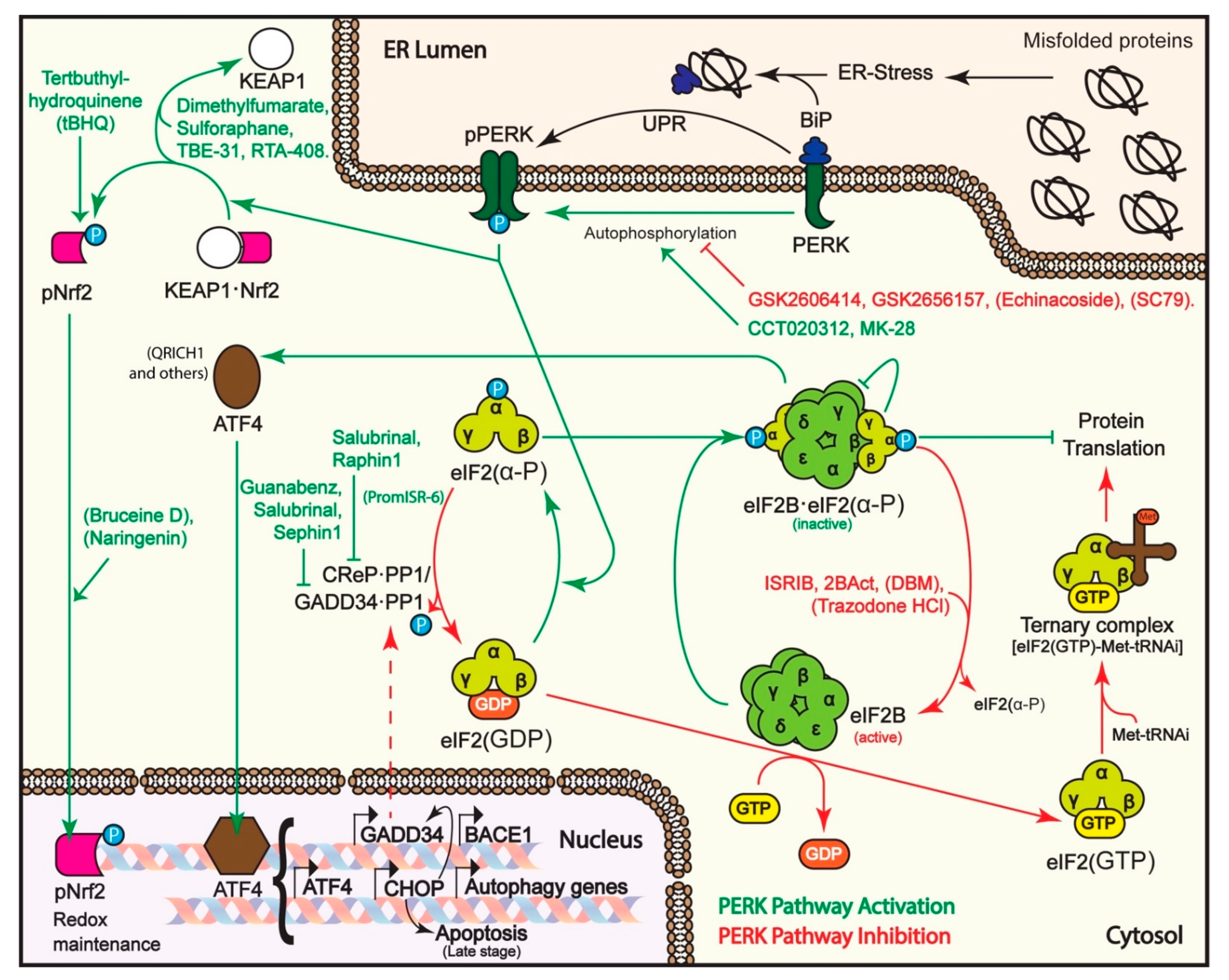 Biomolecules 11 00354 g002