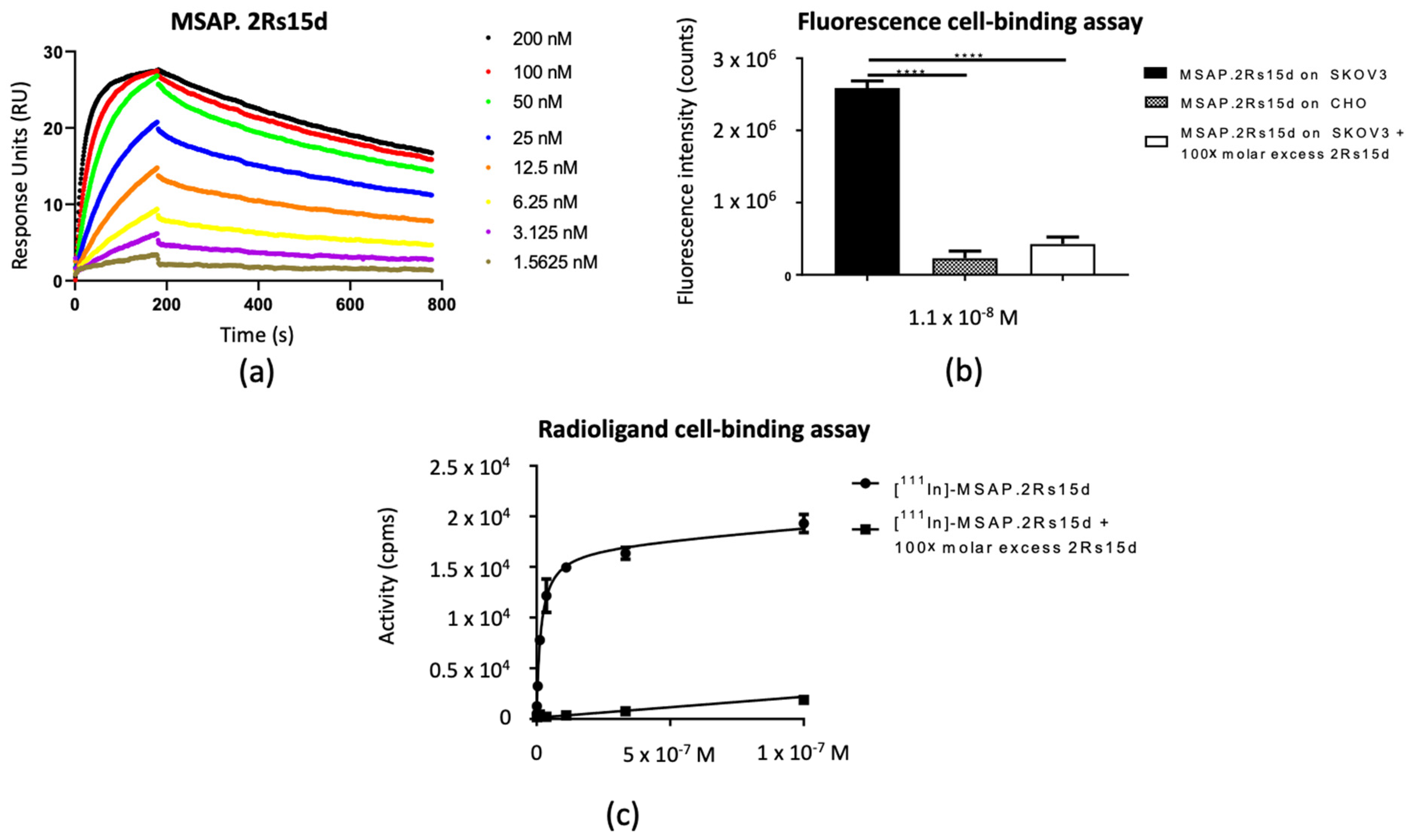 Biomolecules 11 00360 g003 Biomolecules 11 00360 g003