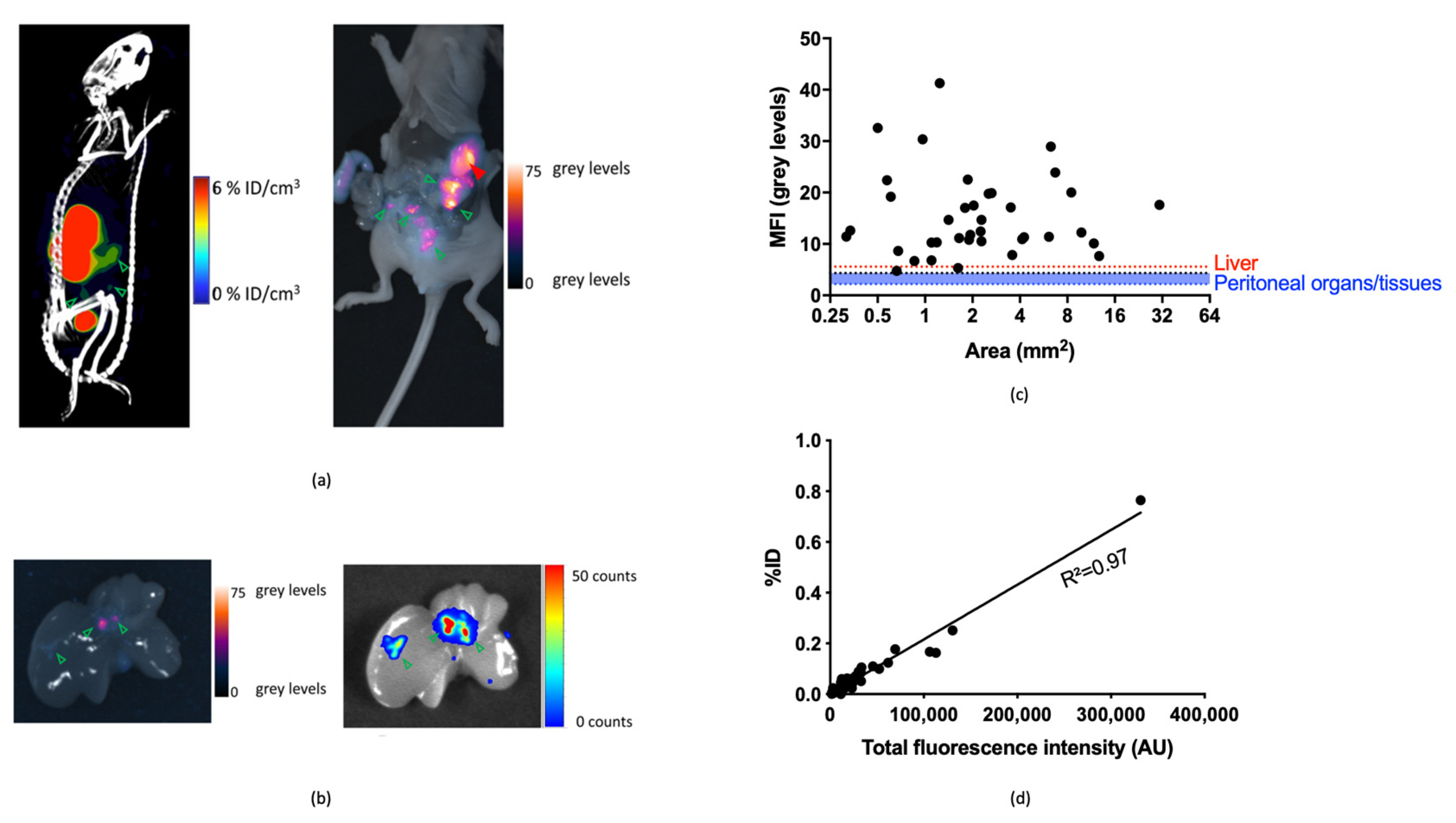 Biomolecules 11 00360 g005 Biomolecules 11 00360 g005
