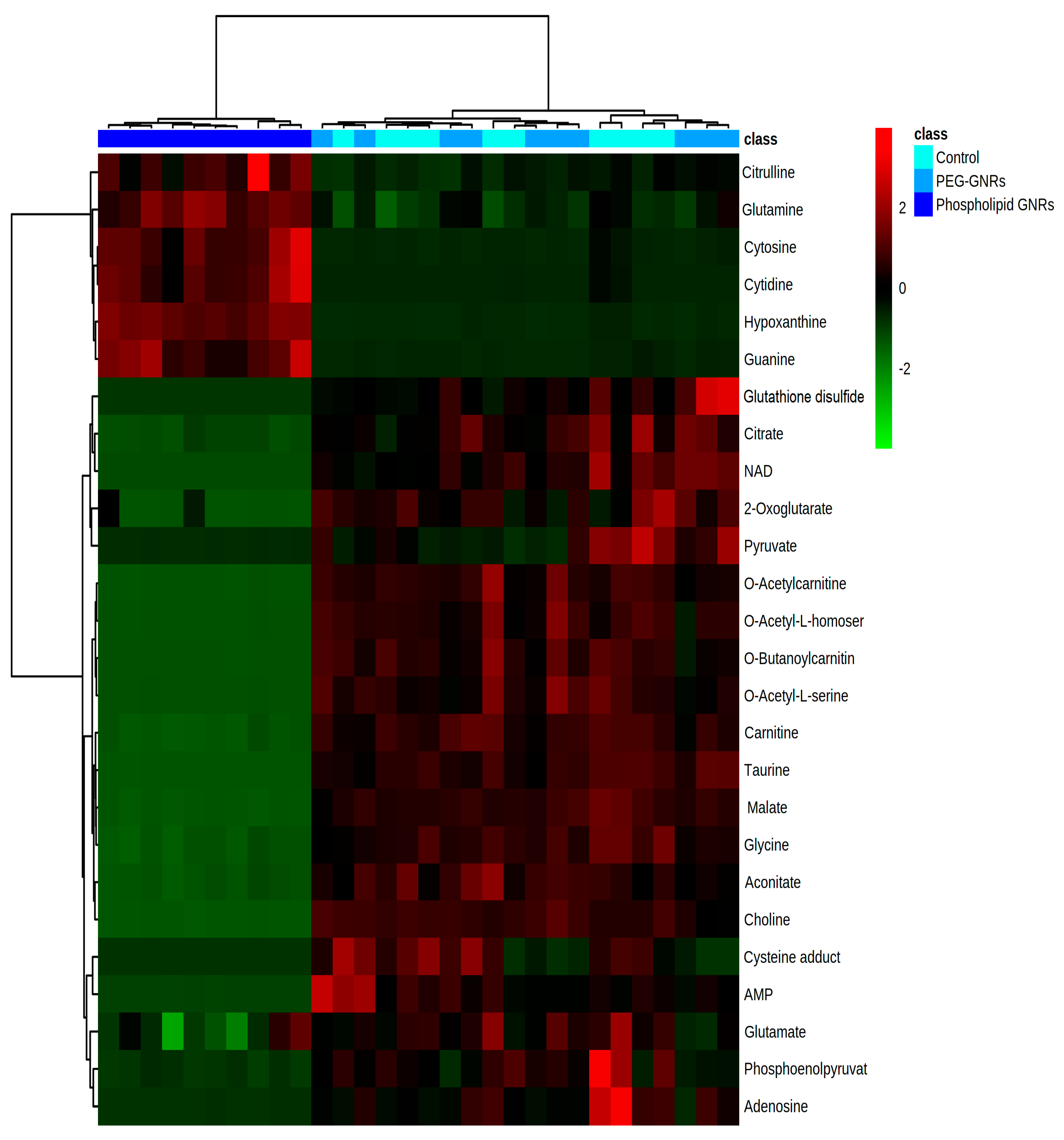 Biomolecules 11 00364 g006 Biomolecules 11 00364 g006