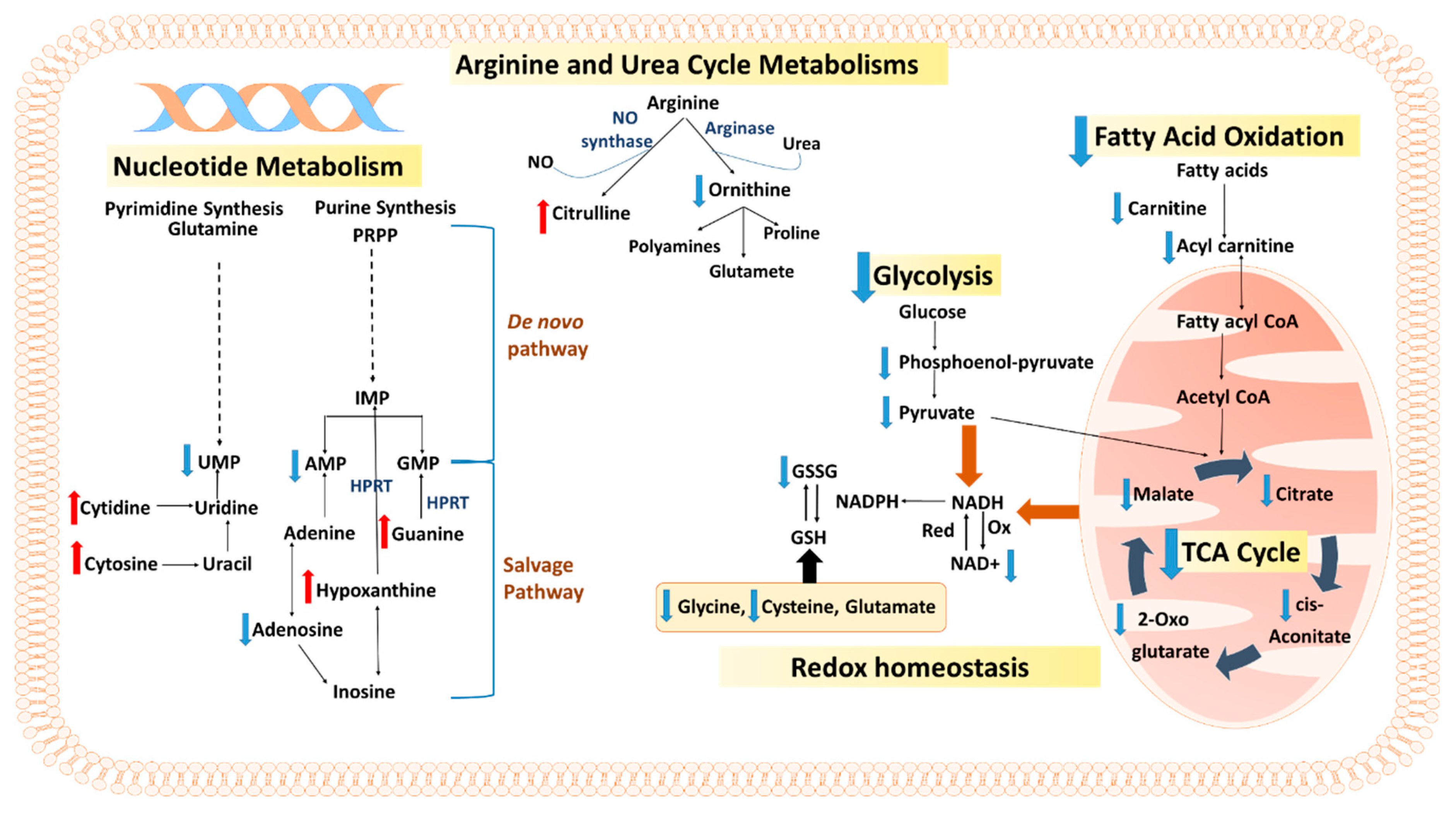 Biomolecules 11 00364 g007 Biomolecules 11 00364 g007