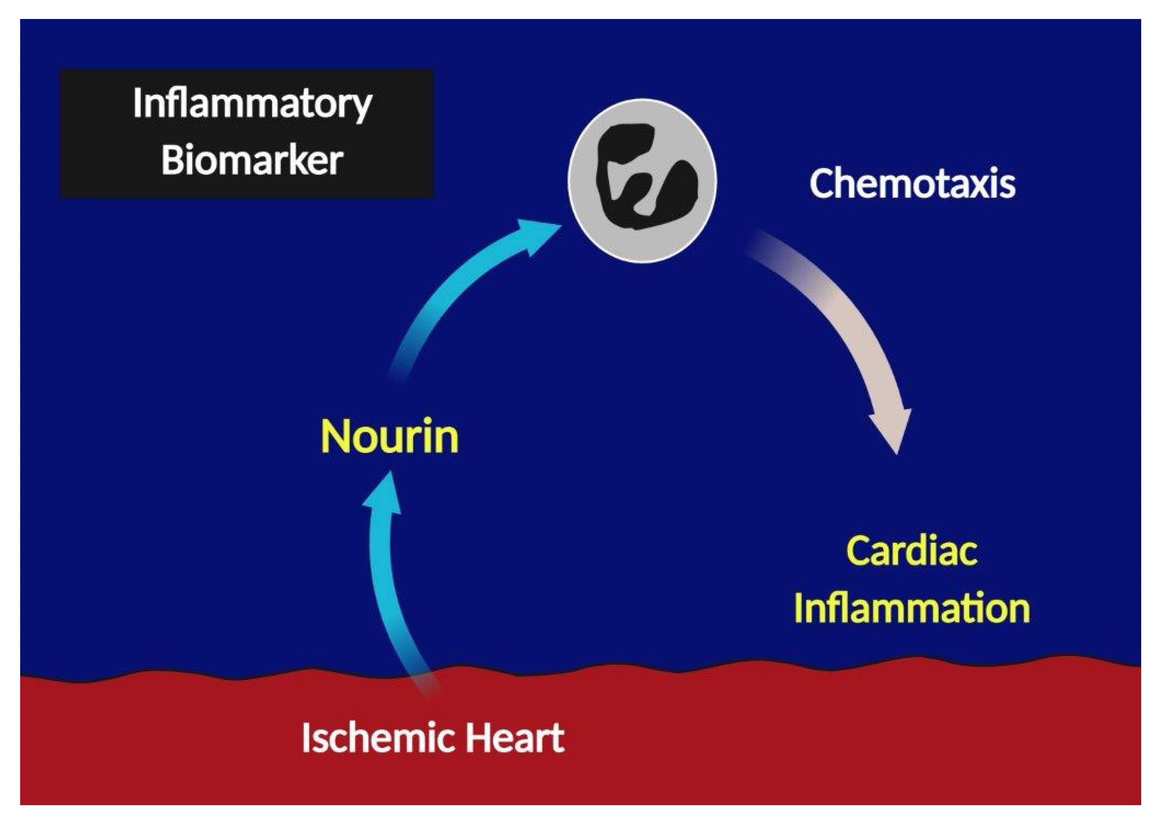 Biomolecules 11 00368 g001 Biomolecules 11 00368 g001