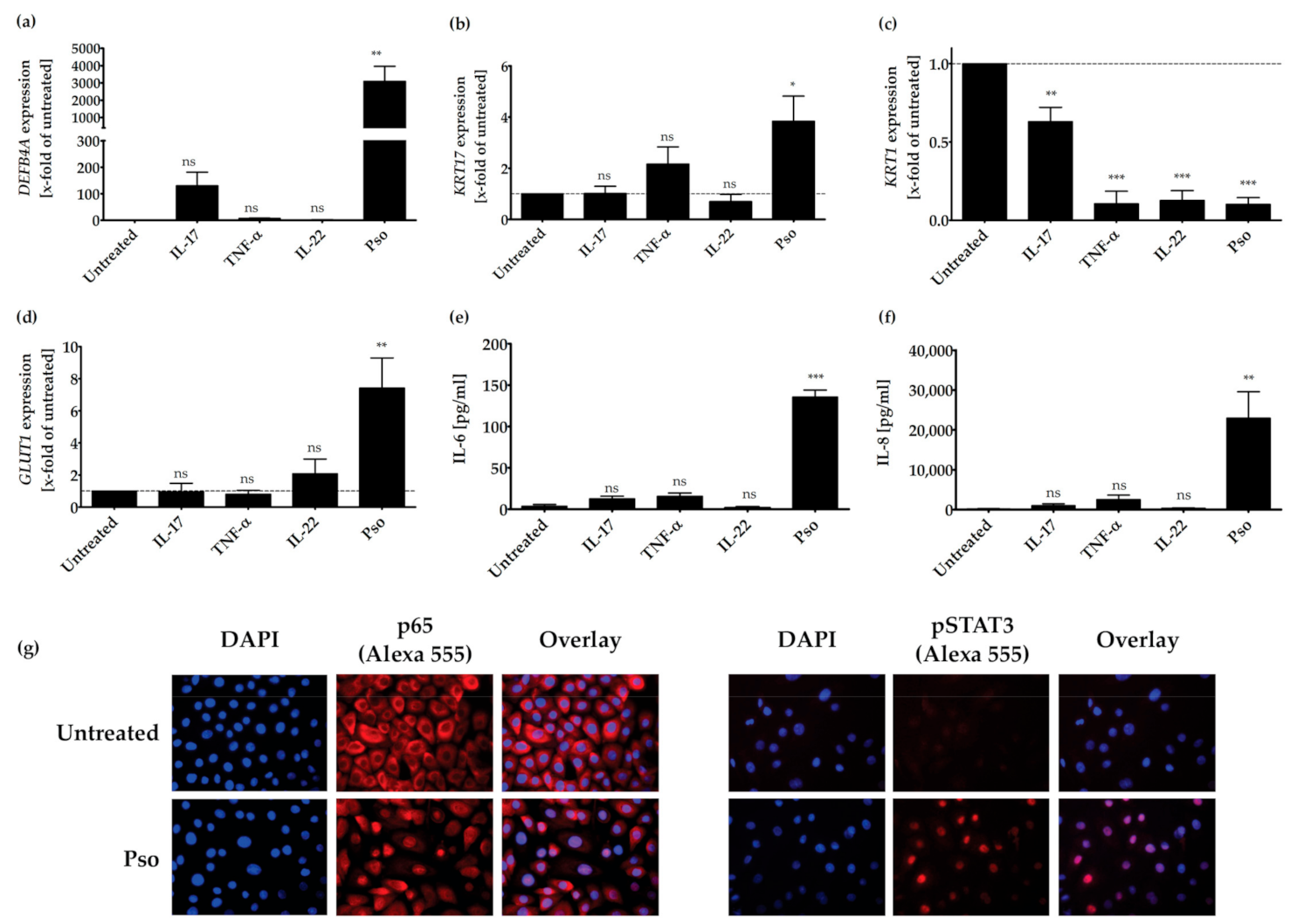 Biomolecules 11 00371 g001 Biomolecules 11 00371 g001