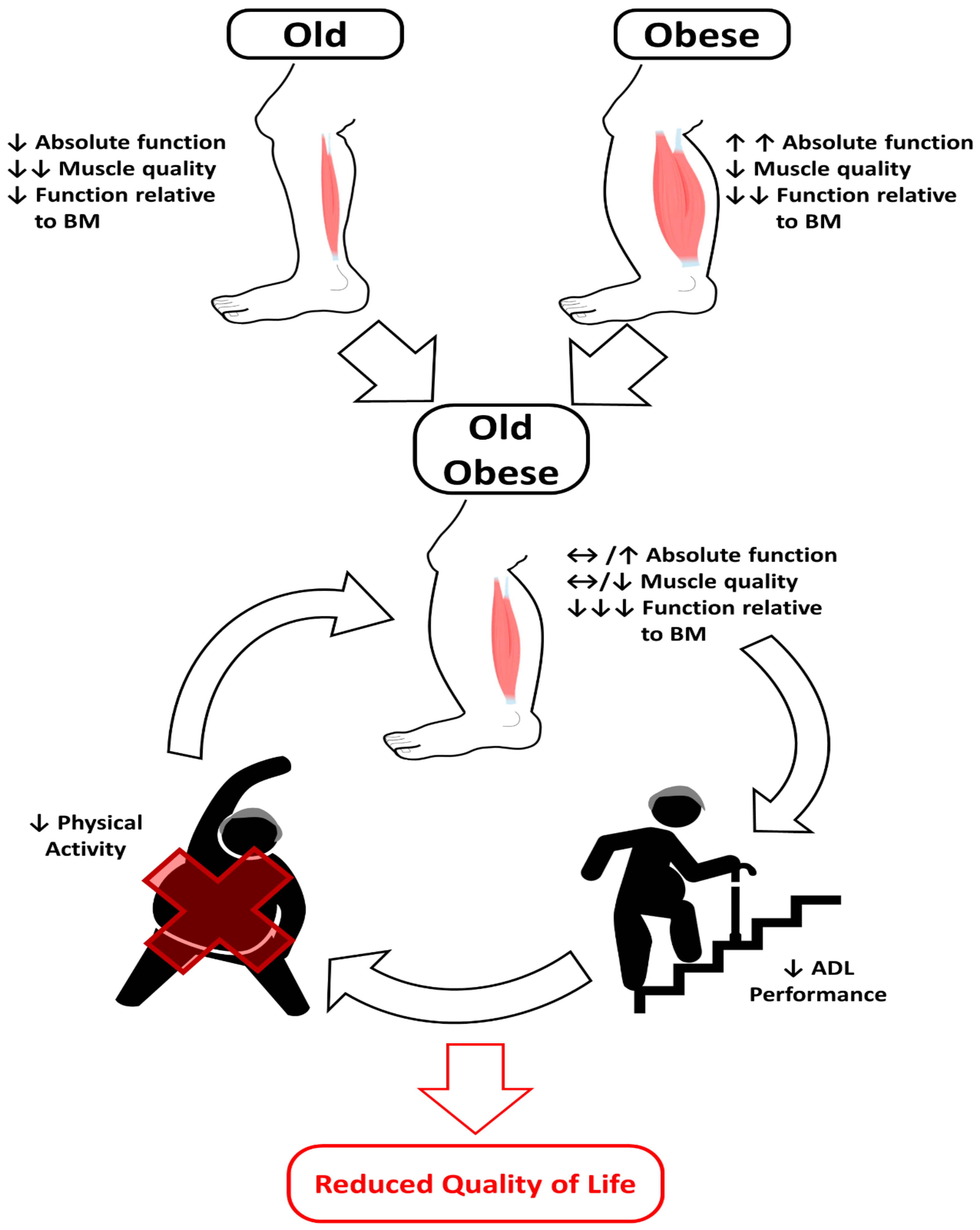 Biomolecules 11 00372 g001