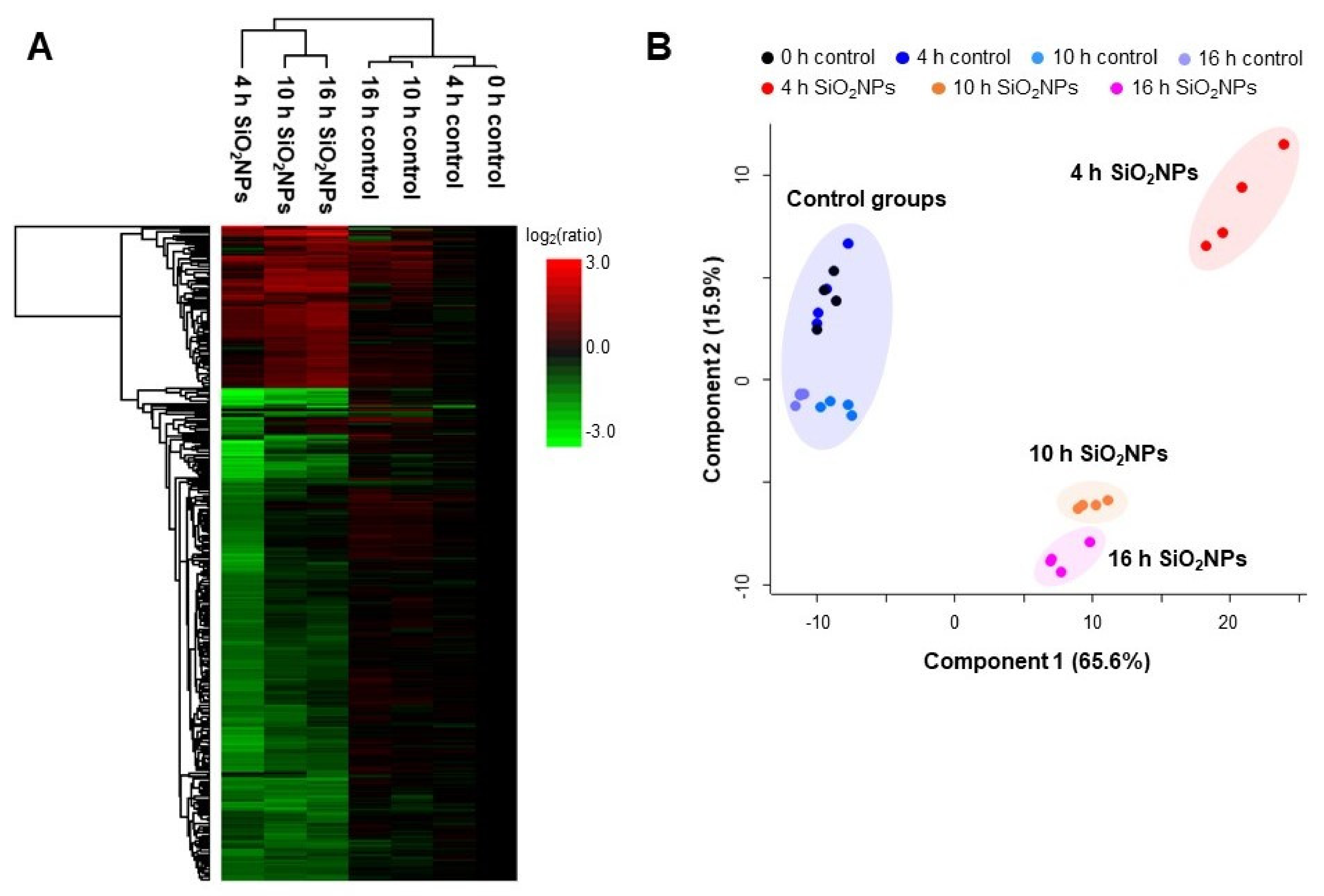 Biomolecules 11 00375 g005