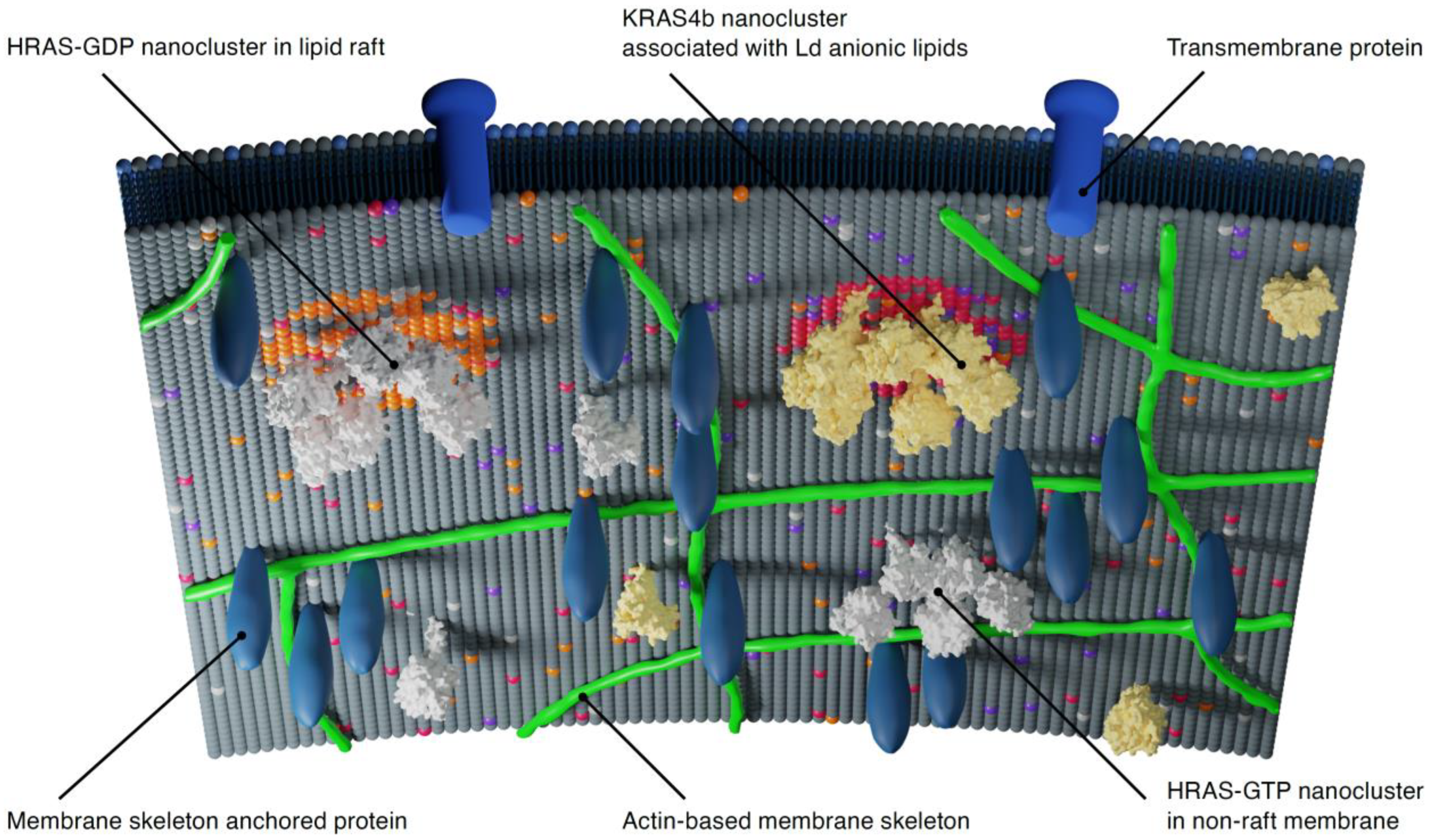 Biomolecules 11 00377 g003 Biomolecules 11 00377 g003