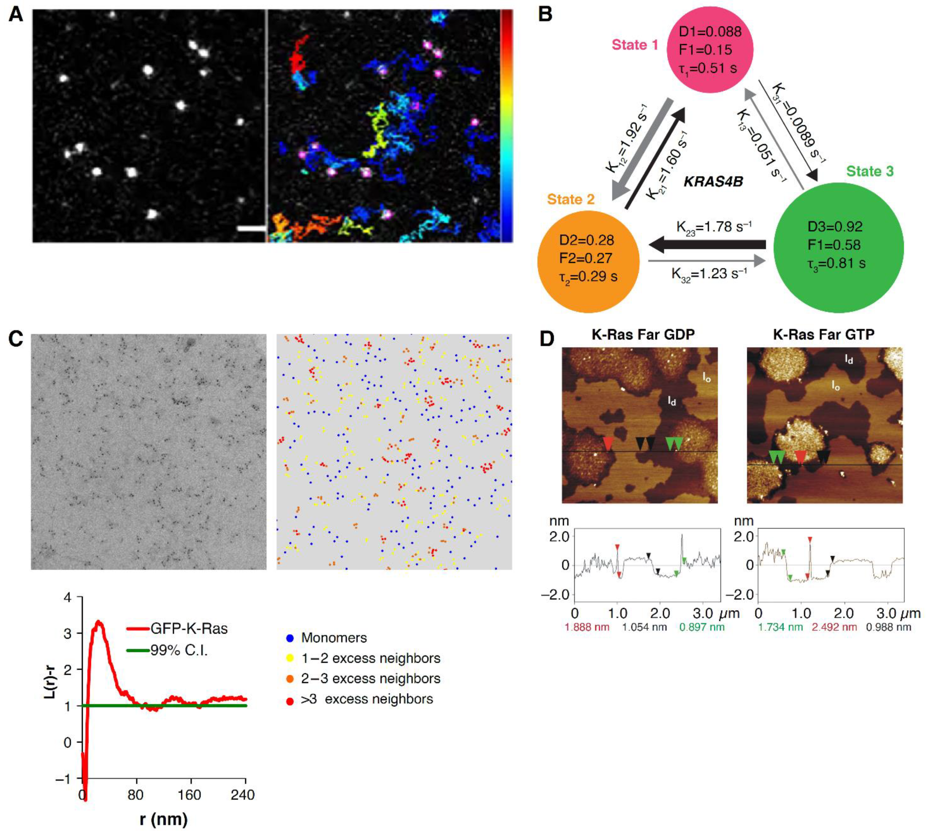 Biomolecules 11 00377 g004 Biomolecules 11 00377 g004