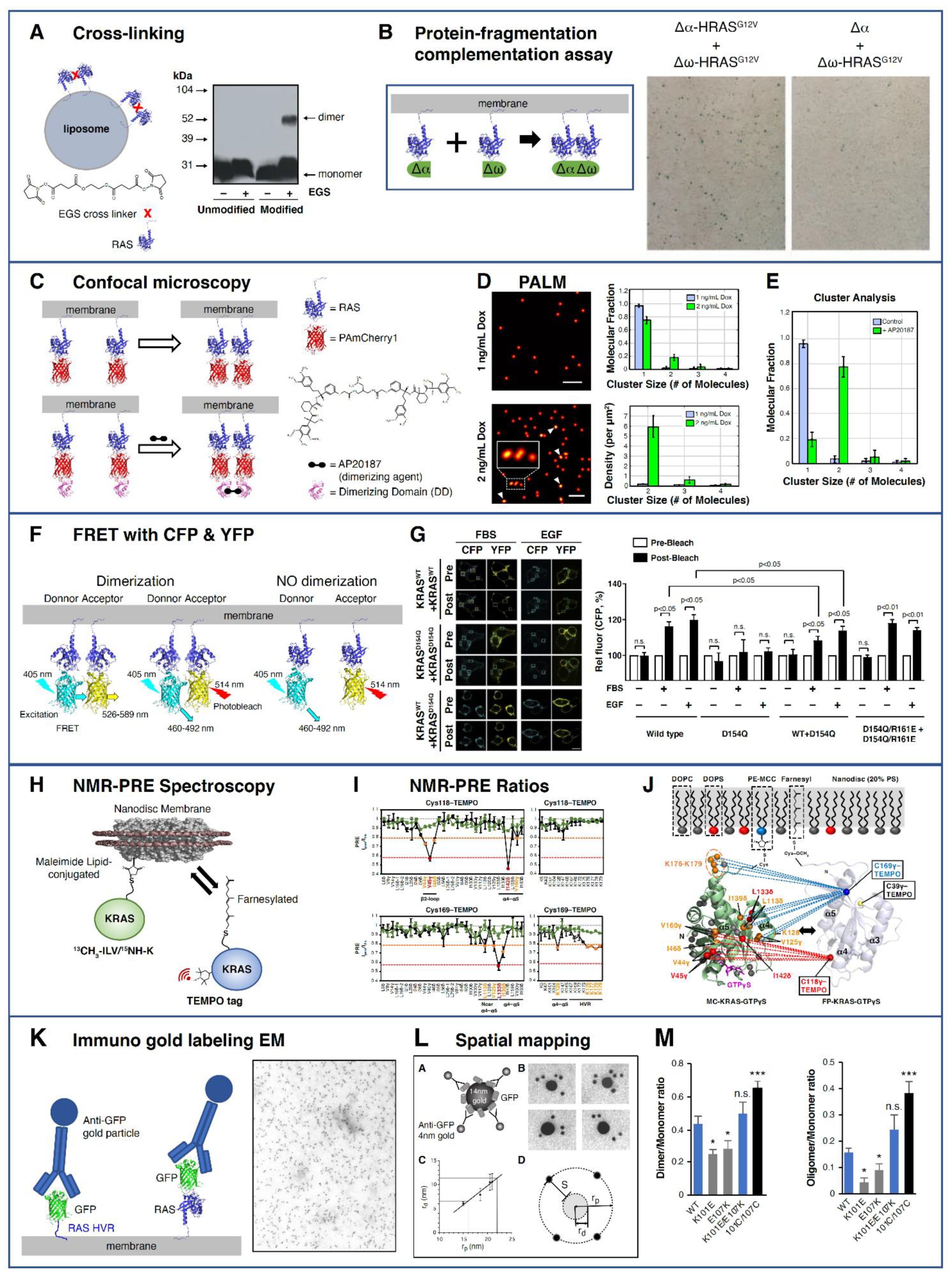 Biomolecules 11 00377 g006 Biomolecules 11 00377 g006