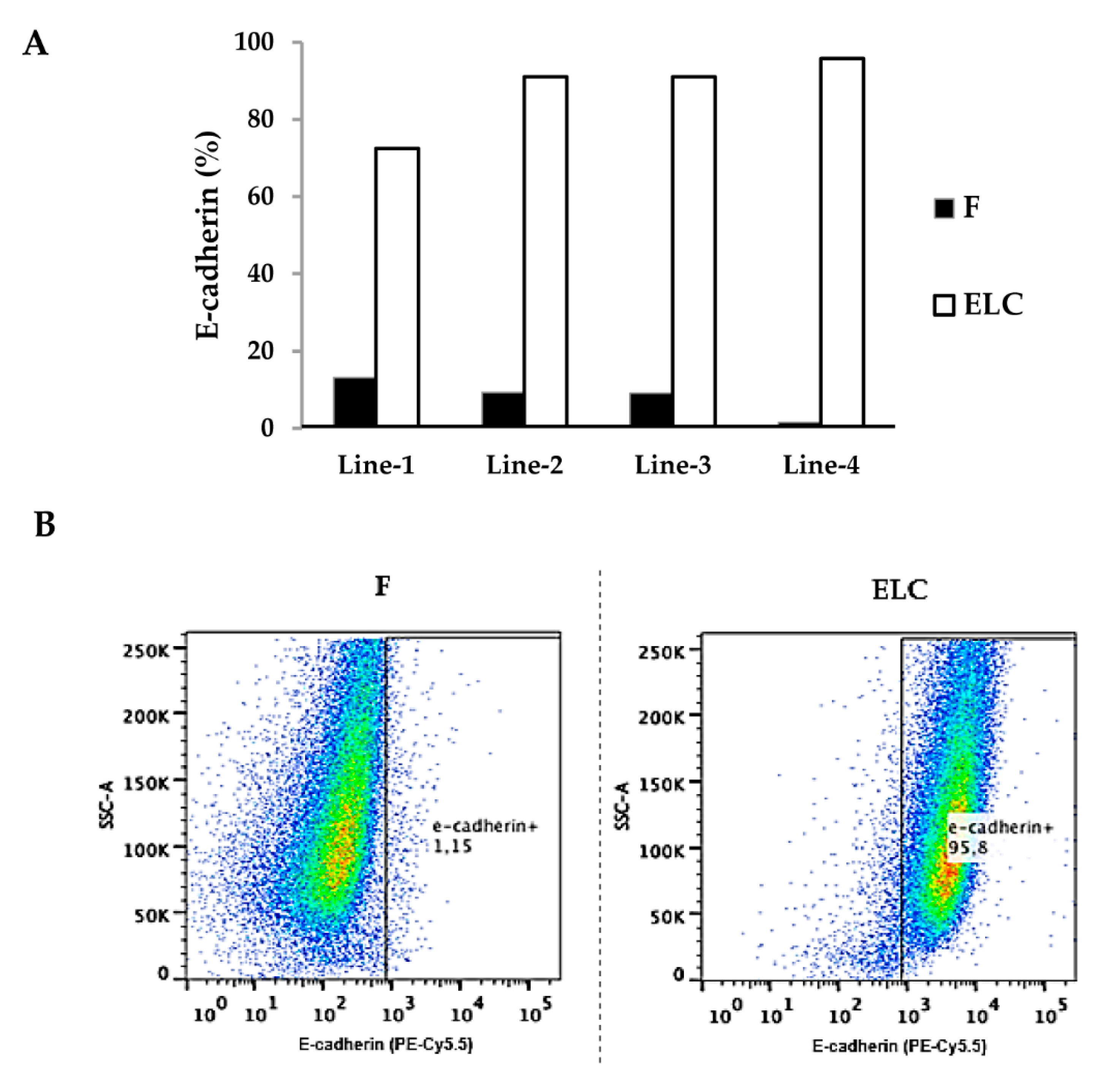 Biomolecules 11 00378 g004