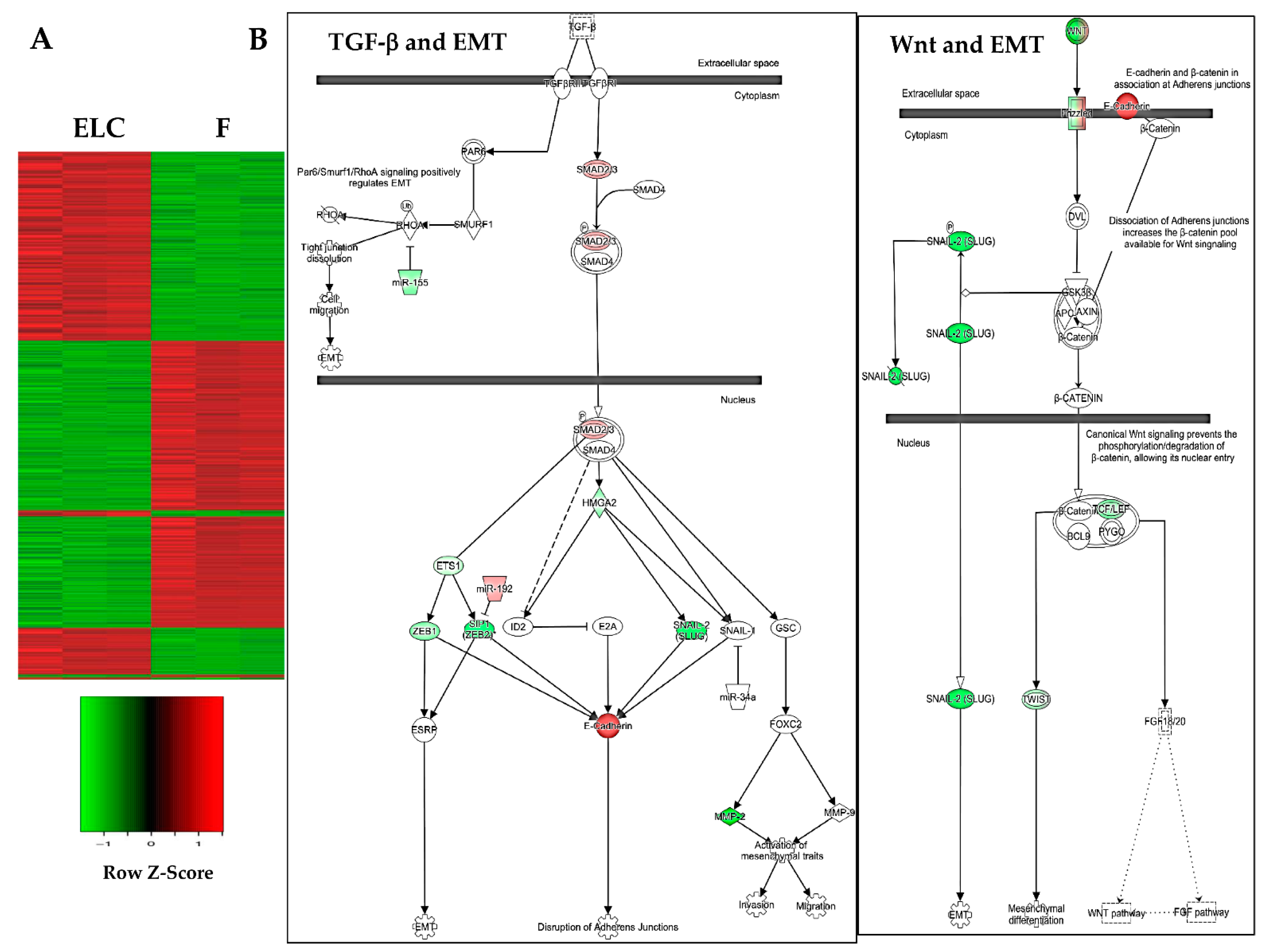 Biomolecules 11 00378 g007