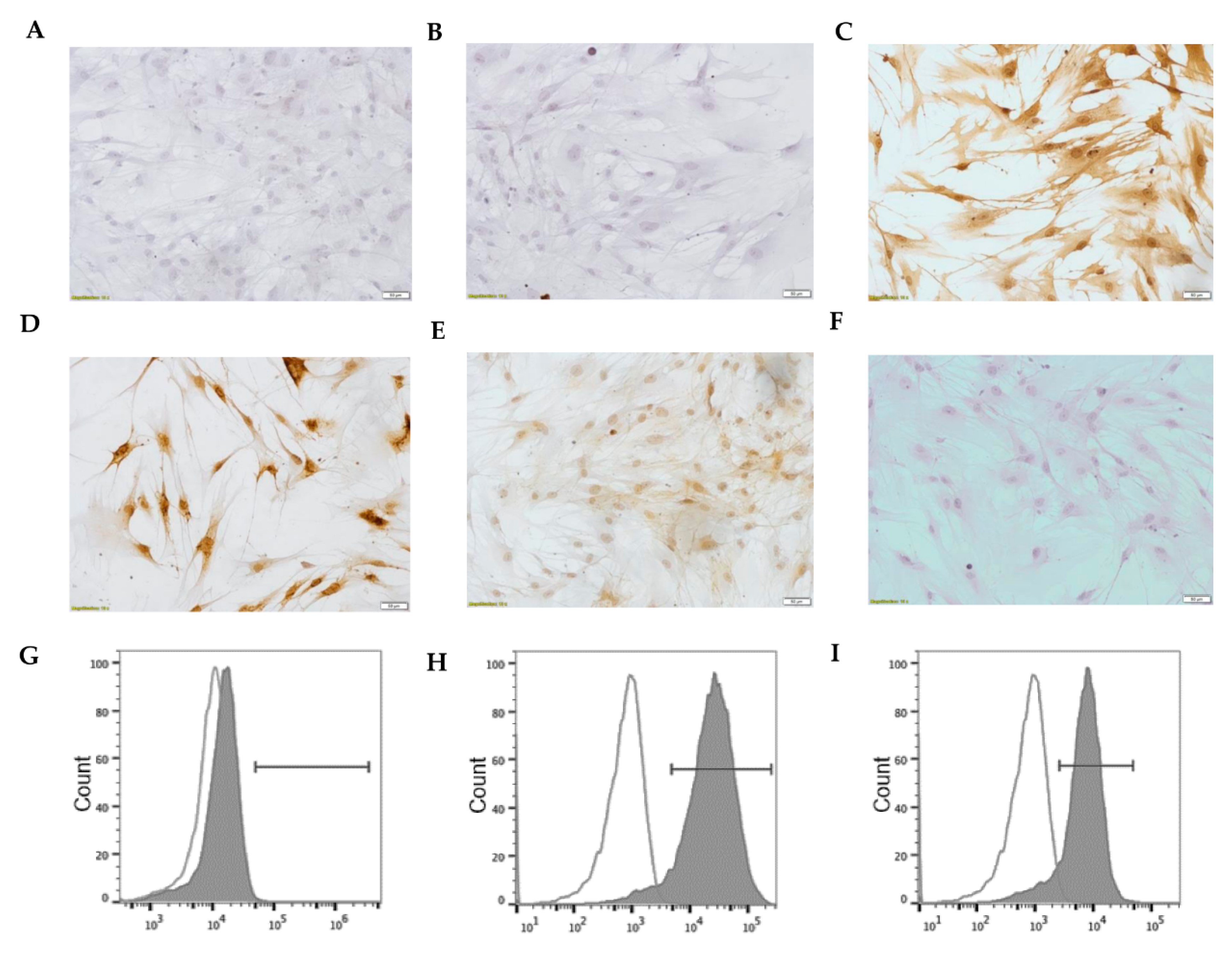 Biomolecules 11 00378 g009
