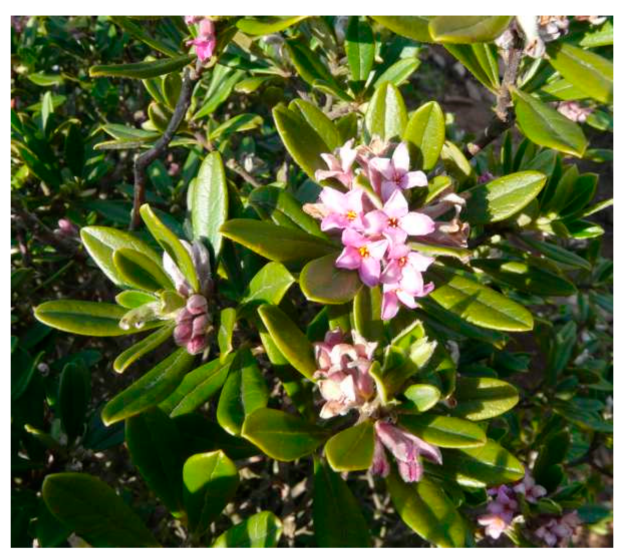 Biomolecules 11 00379 g001