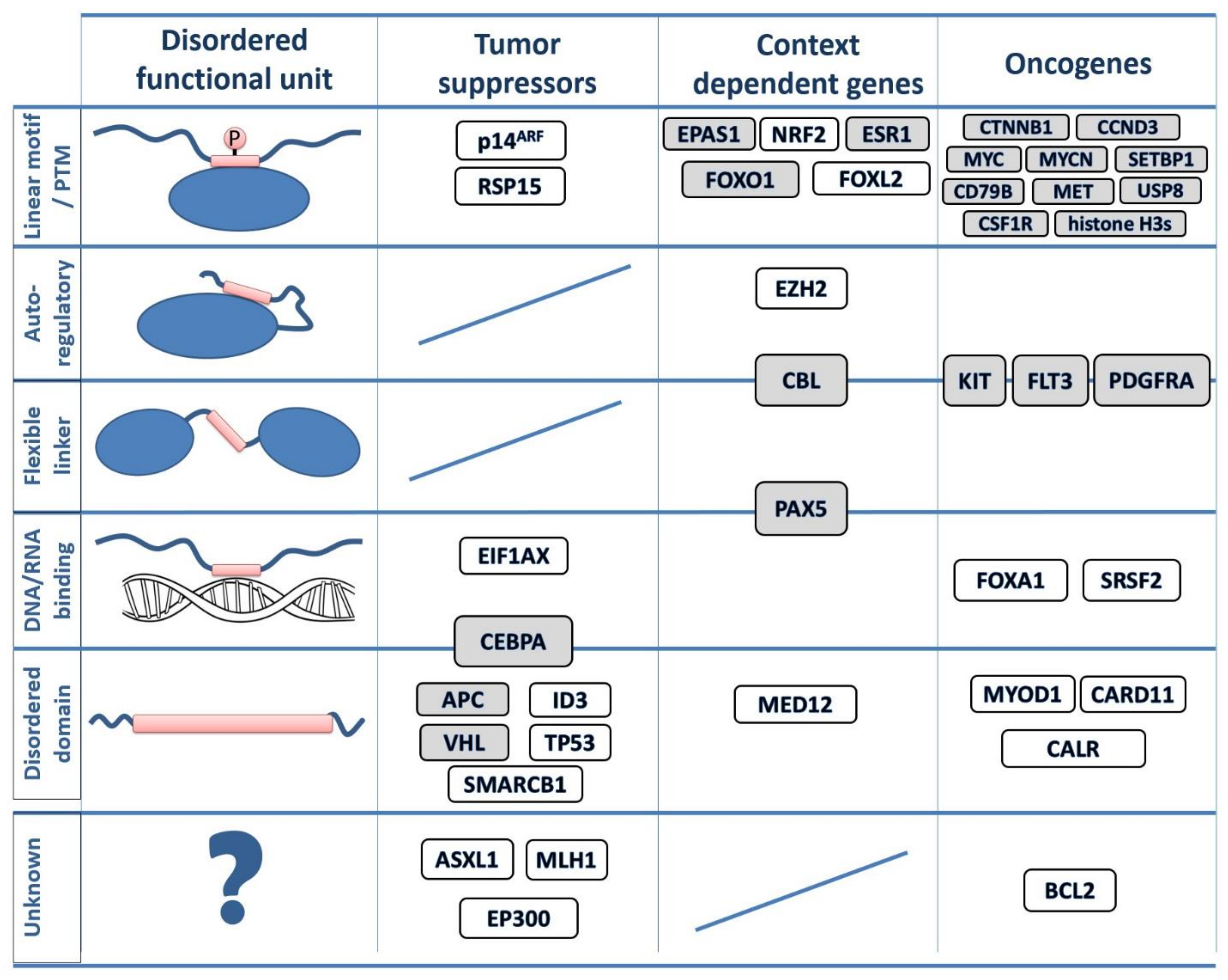 Biomolecules 11 00381 g002