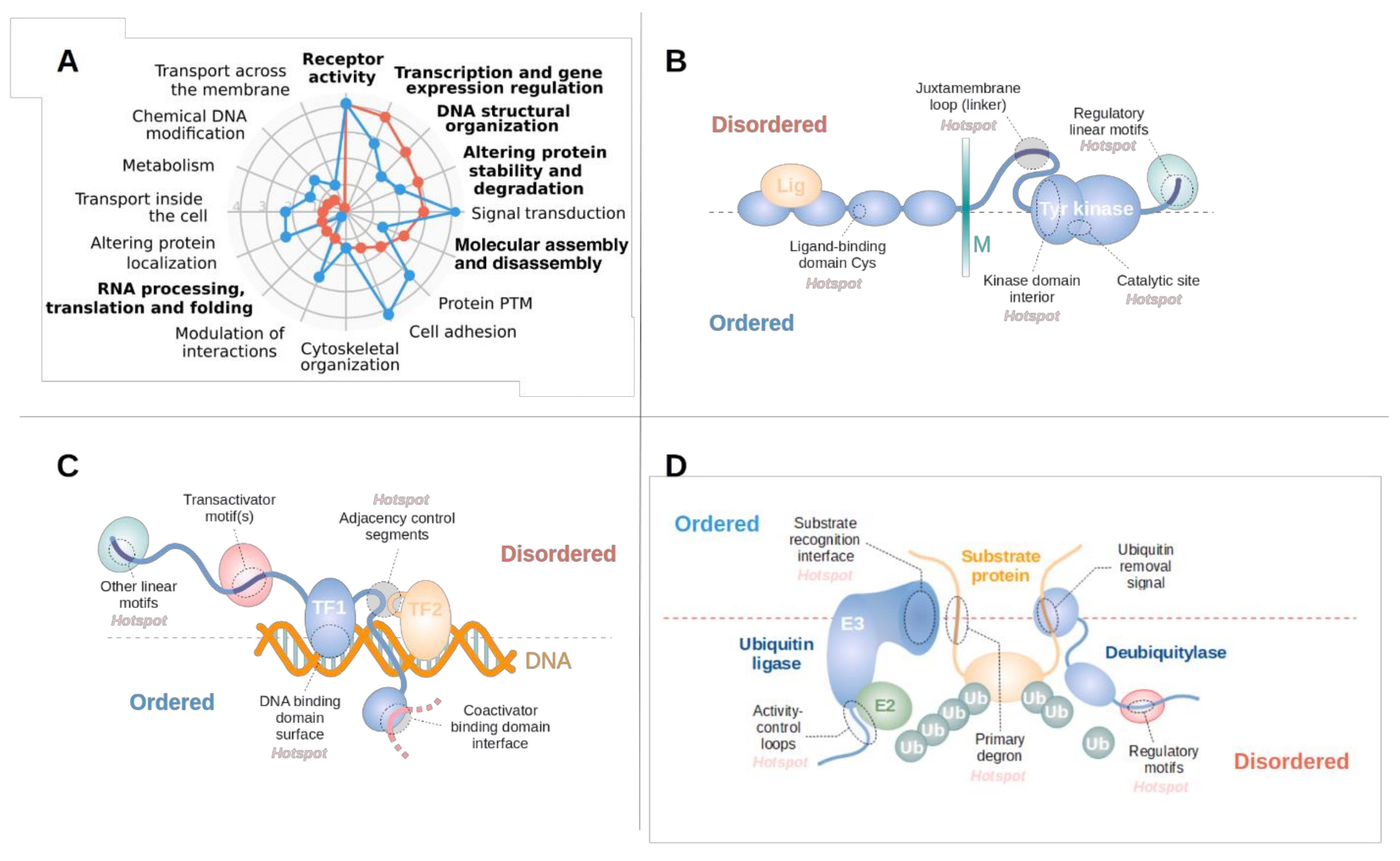 Biomolecules 11 00381 g003