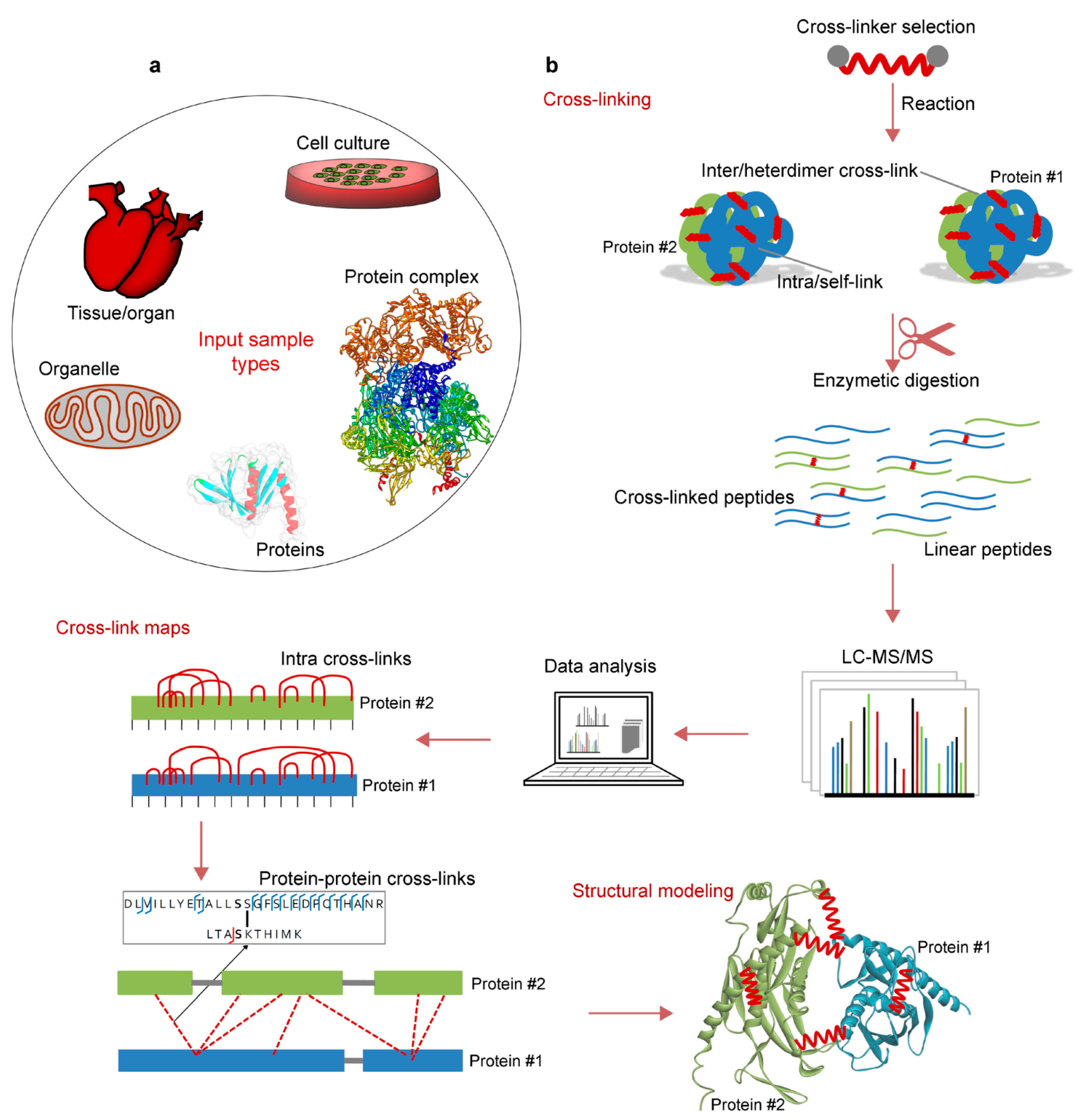 Biomolecules 11 00382 g002 Biomolecules 11 00382 g002