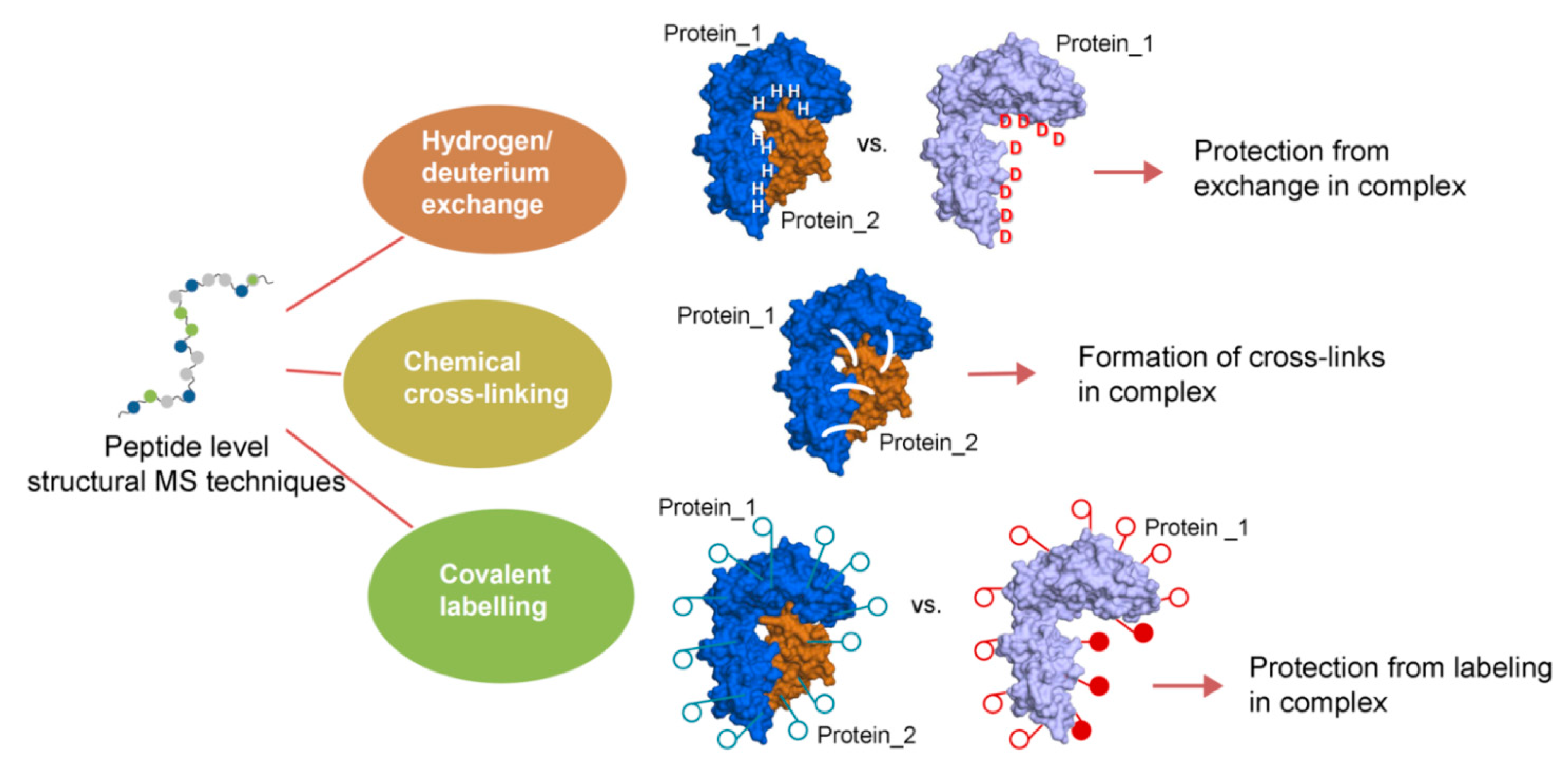 Biomolecules 11 00382 g003 Biomolecules 11 00382 g003