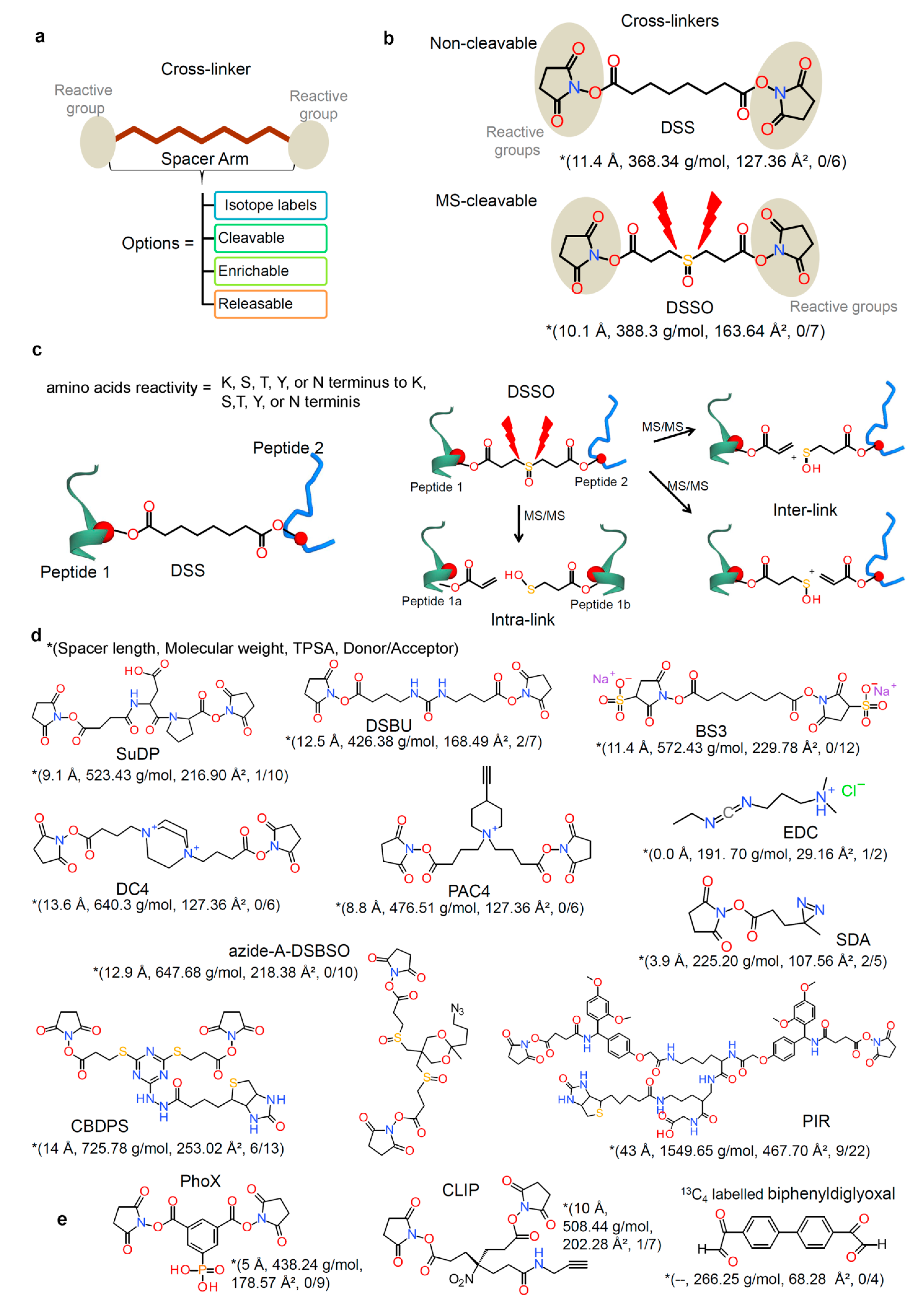 Biomolecules 11 00382 g004 Biomolecules 11 00382 g004