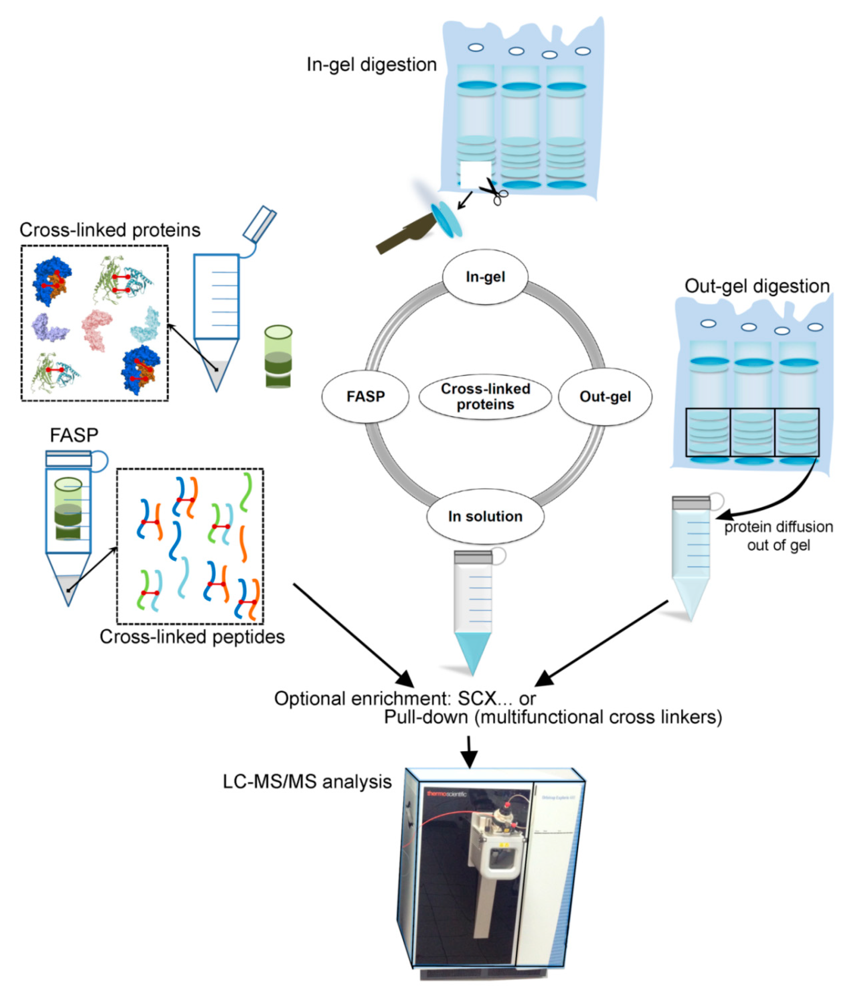 Biomolecules 11 00382 g005 Biomolecules 11 00382 g005