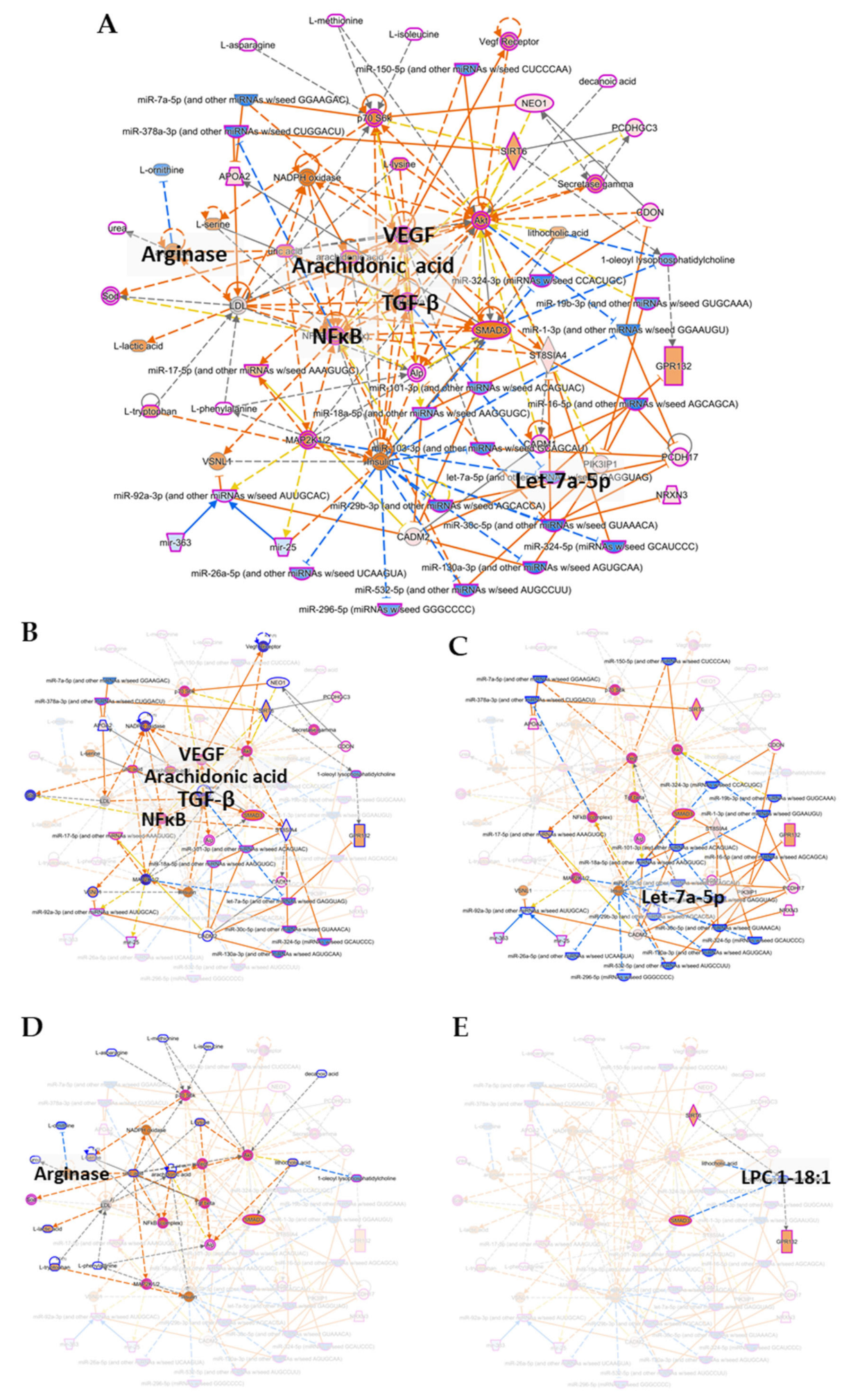 Biomolecules 11 00383 g005