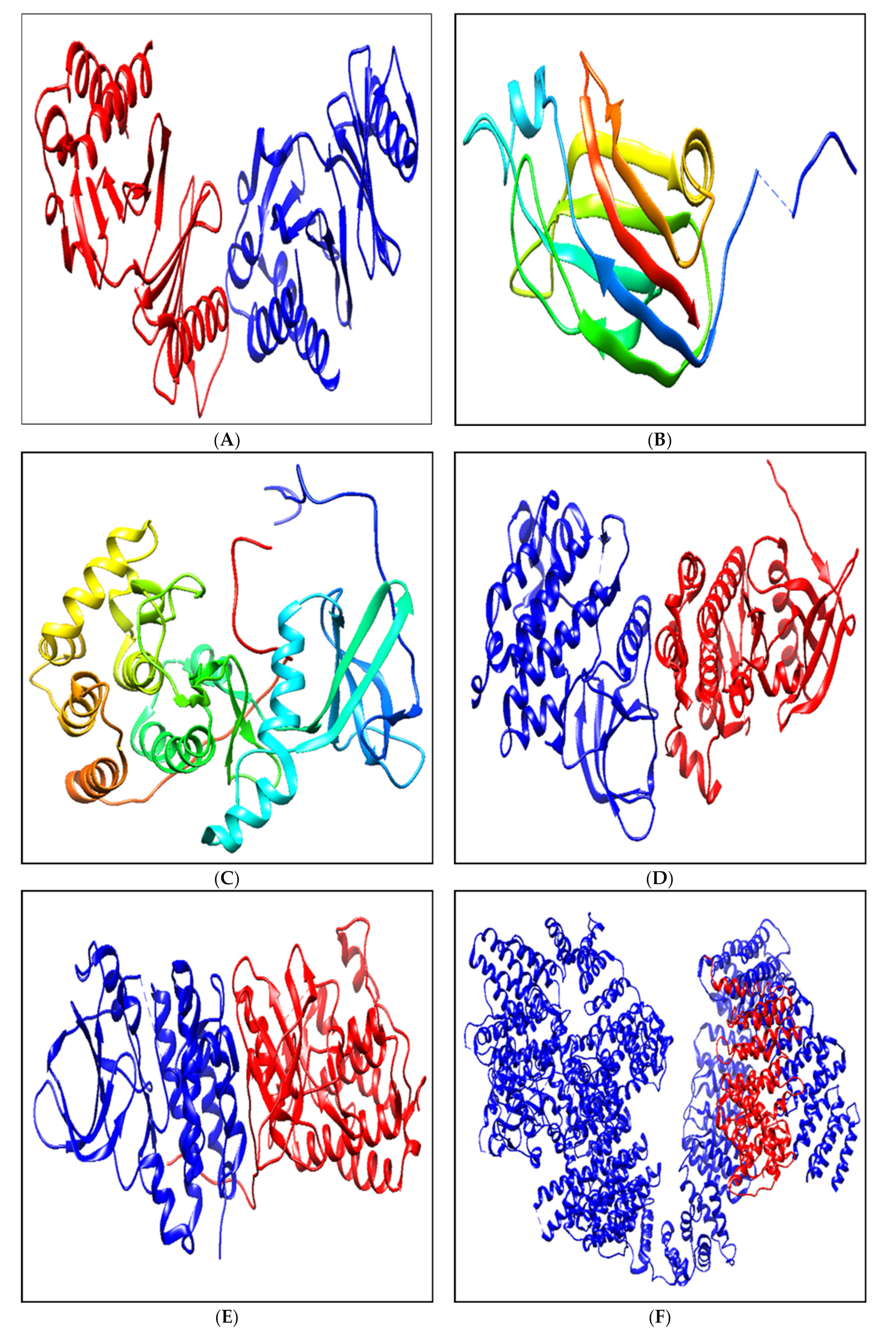 Biomolecules 11 00385 g004