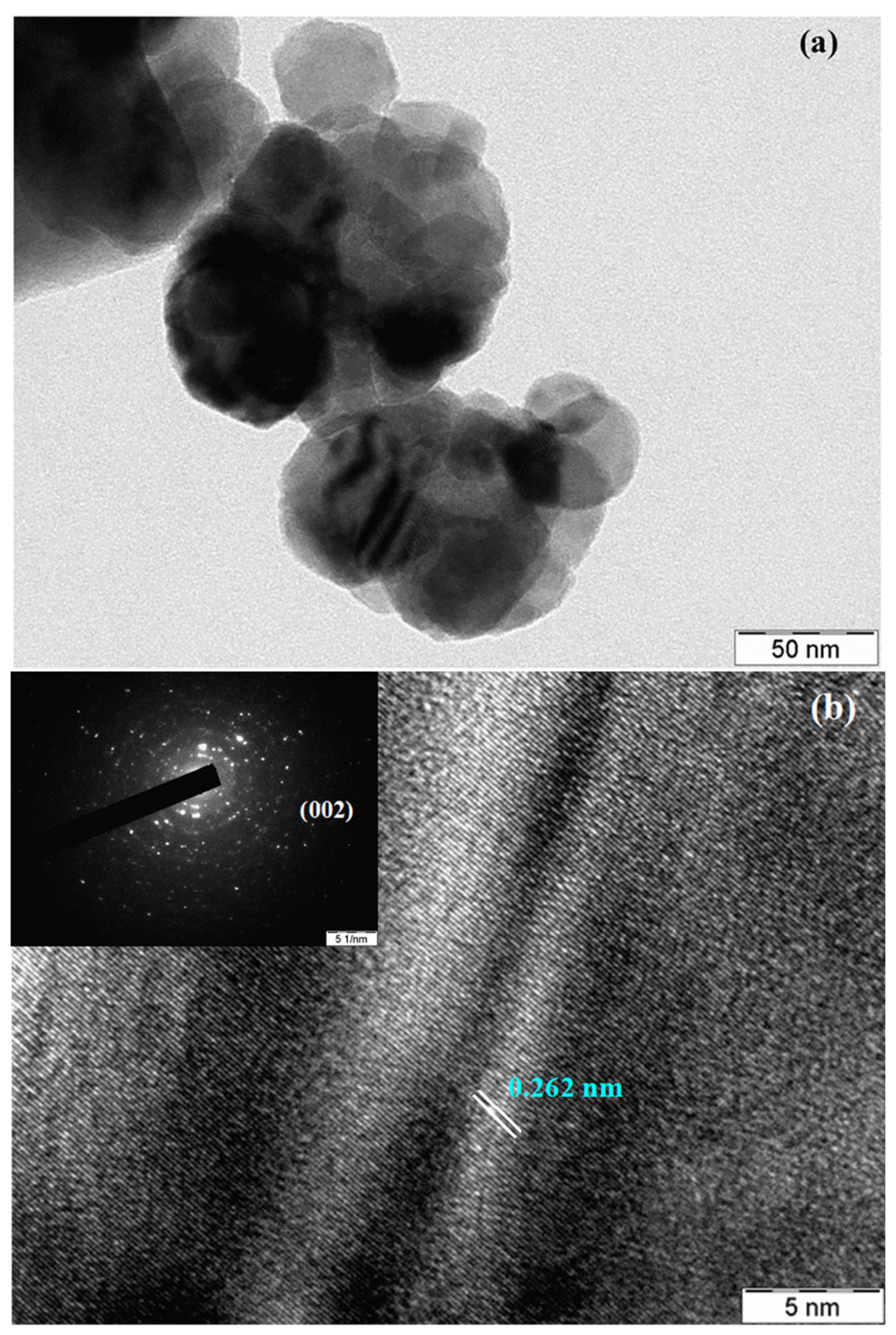 Biomolecules 11 00385 g007